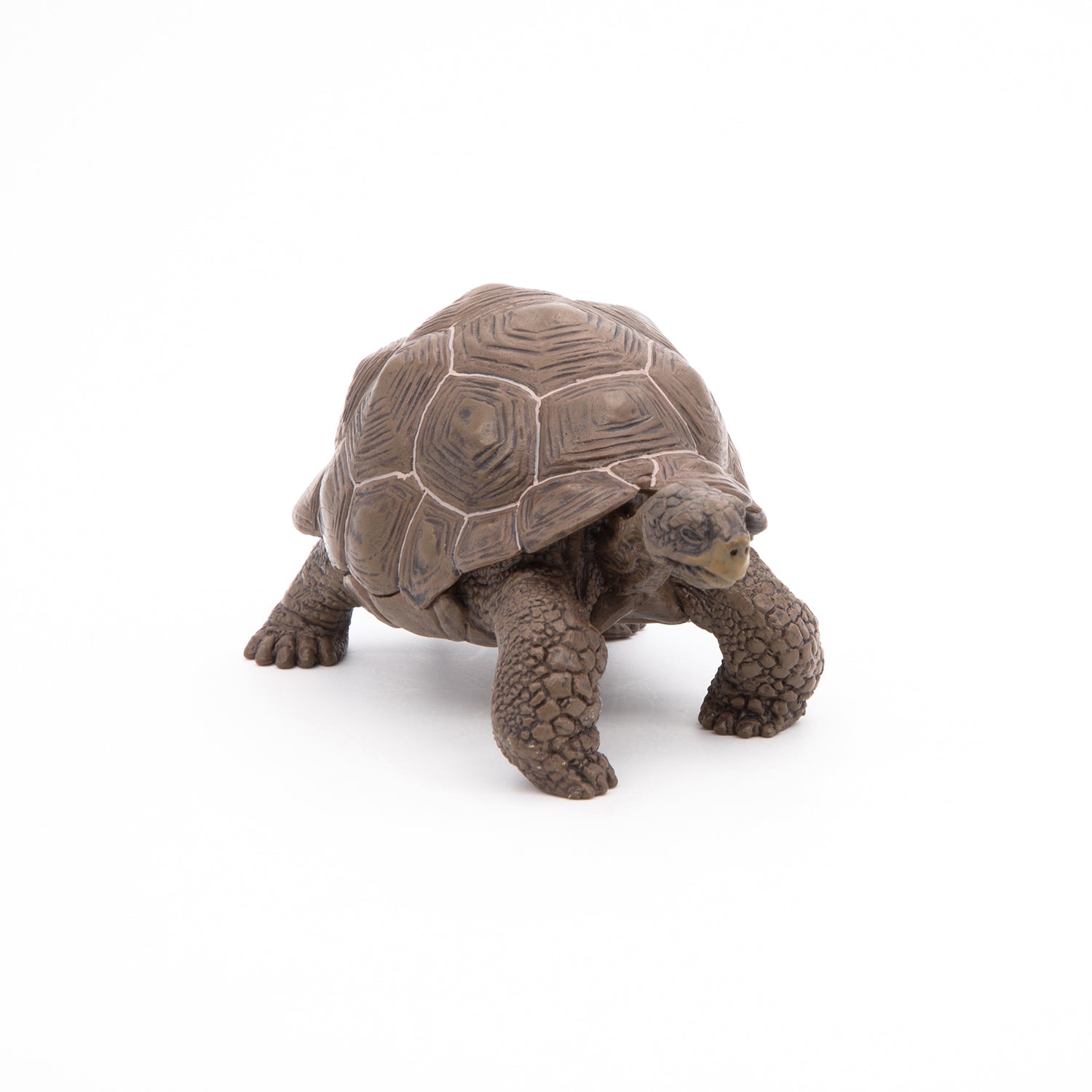 papo-wildlife-tortue-des-galapagos-figurine-reptile-g-ante image 6