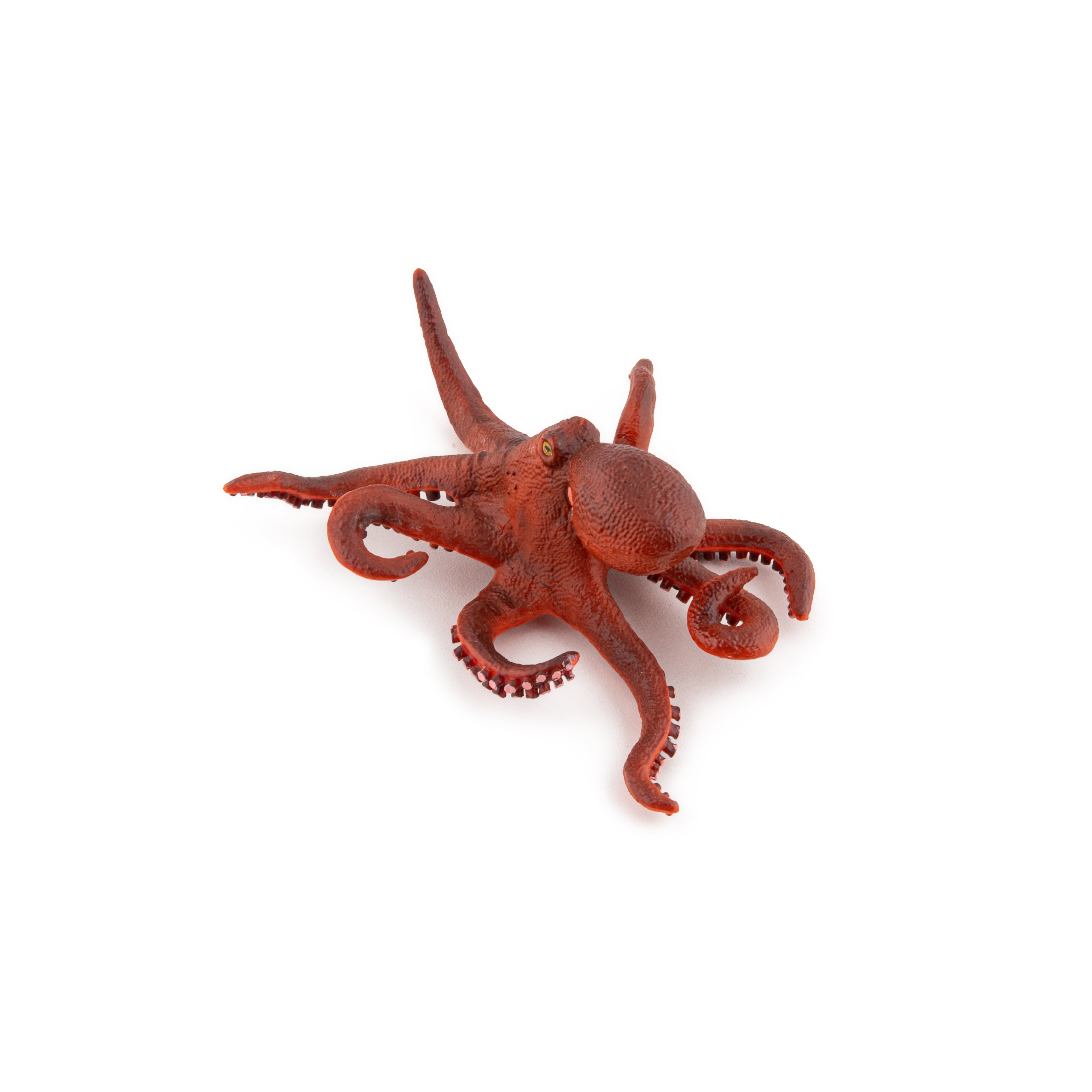 papo-marine-world-figurine-petite-pieuvre-animal-marin image 6