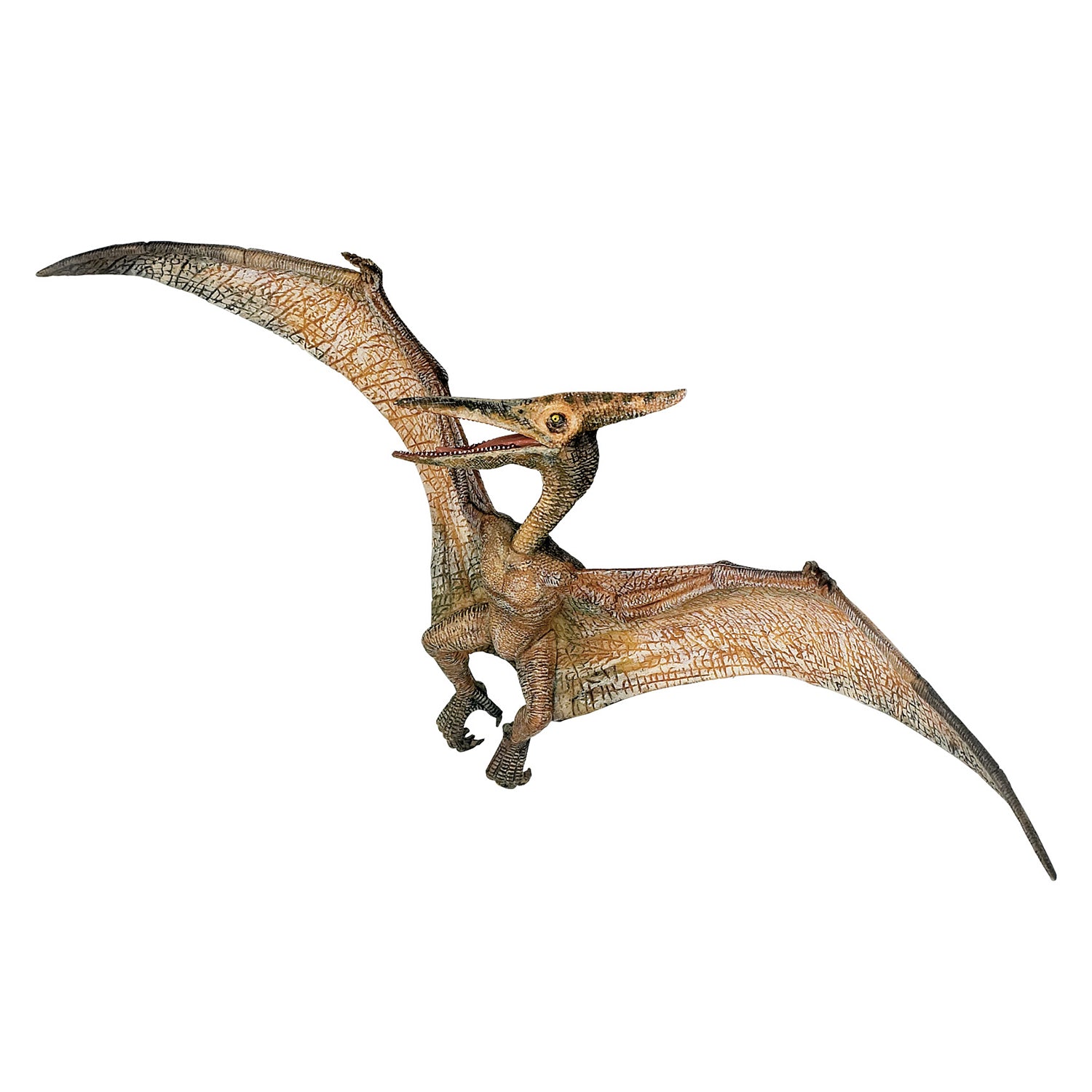 papo-dinosaurs-pt-ranodon-figurine-reptile-volant image 1