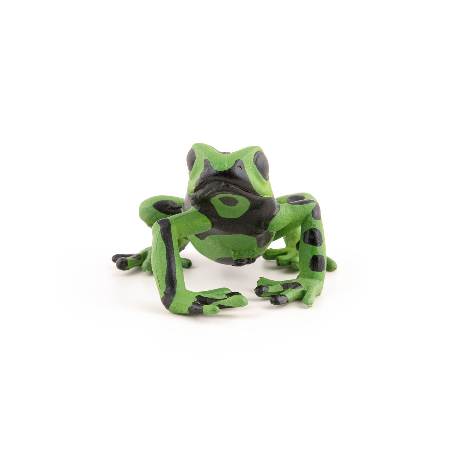 papo-wildlife-figurine-grenouille-quatoriale-verte image 3