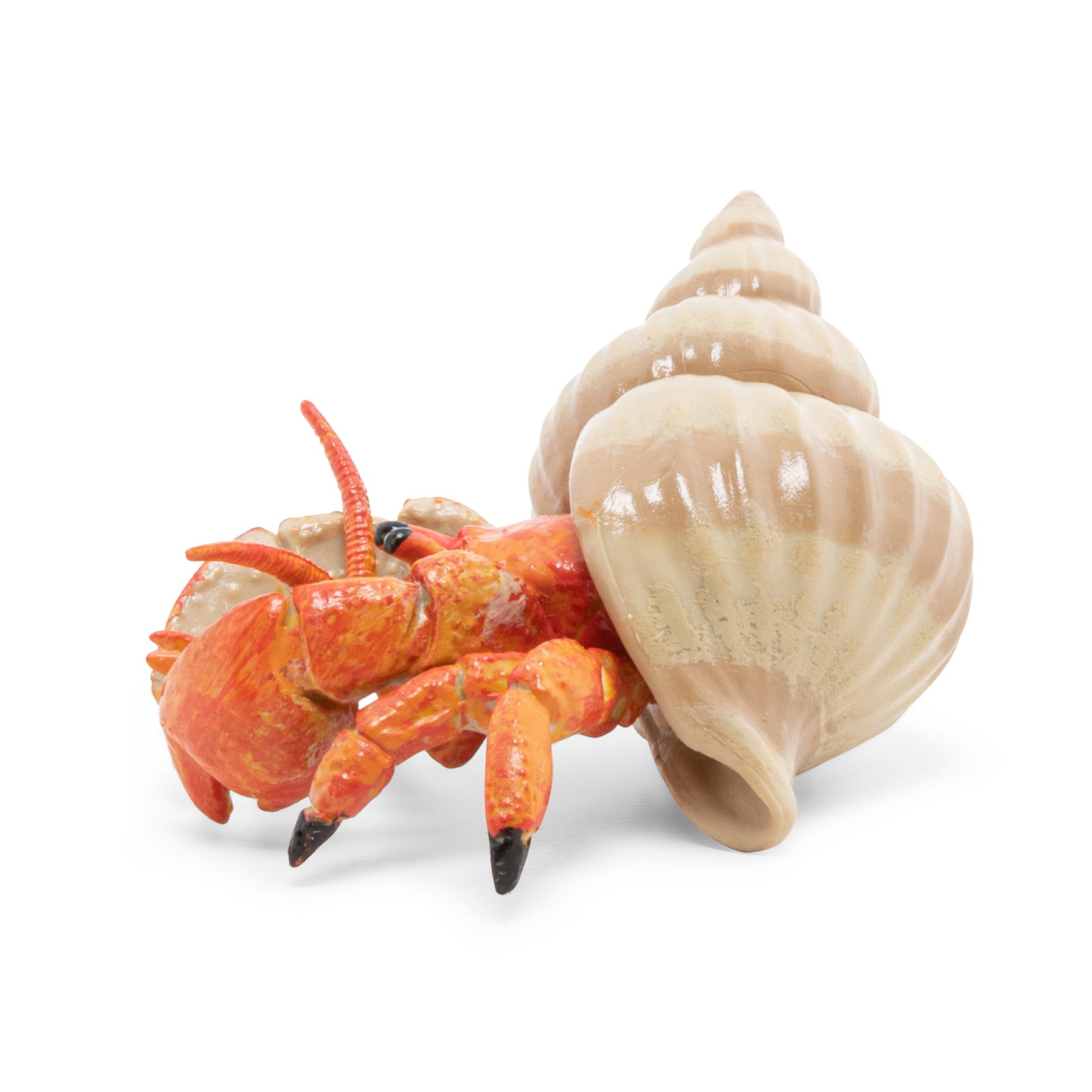 papo-marine-world-bernard-l-hermite-figurine-crabe-coquille image 3
