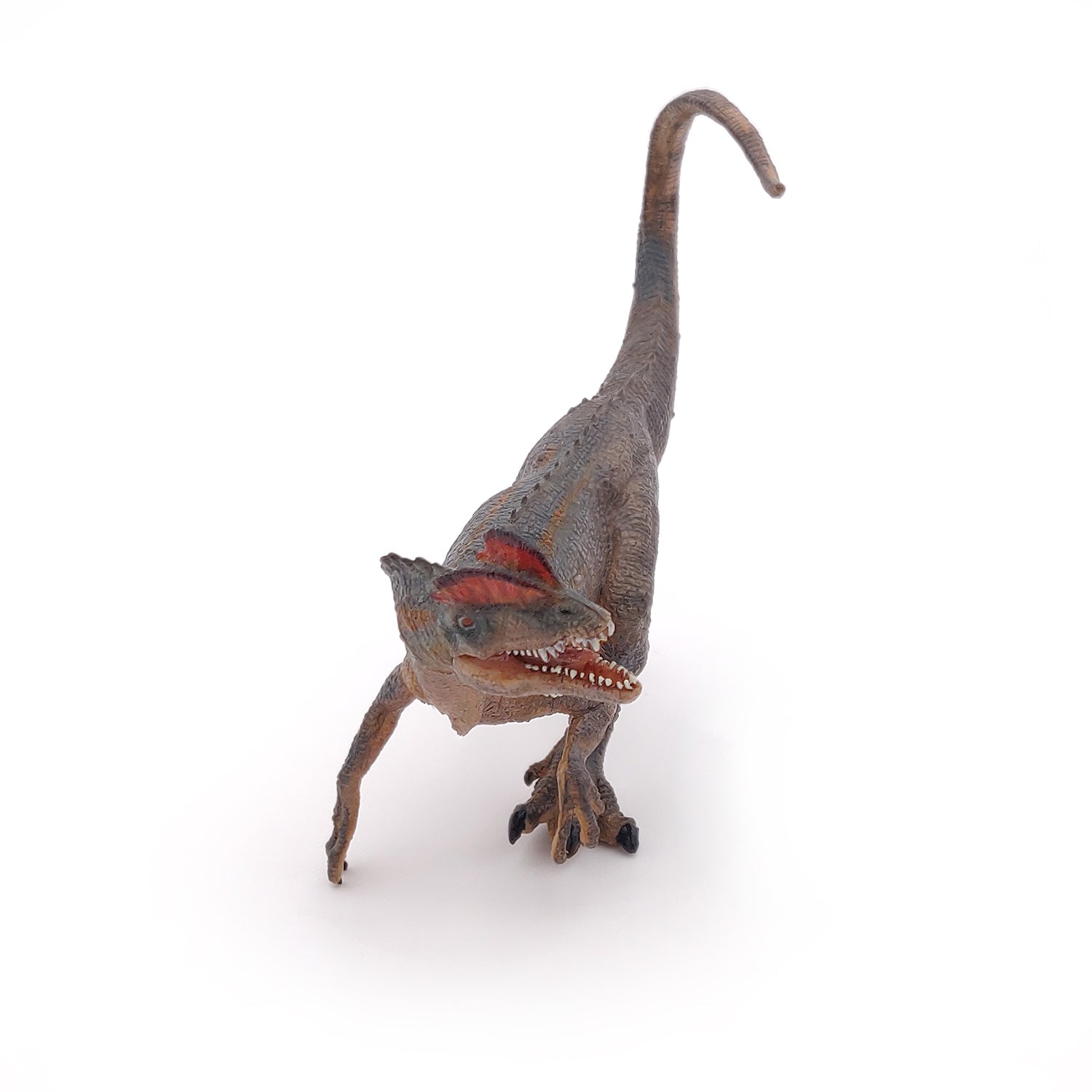 papo-dinosaures-figurine-dilophosaure-carnivore-jurassique image 4
