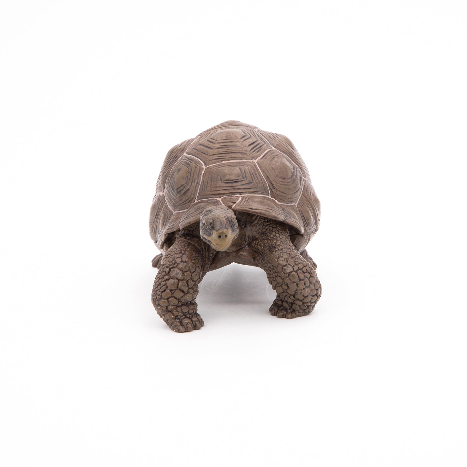 papo-wildlife-tortue-des-galapagos-figurine-reptile-g-ante image 7