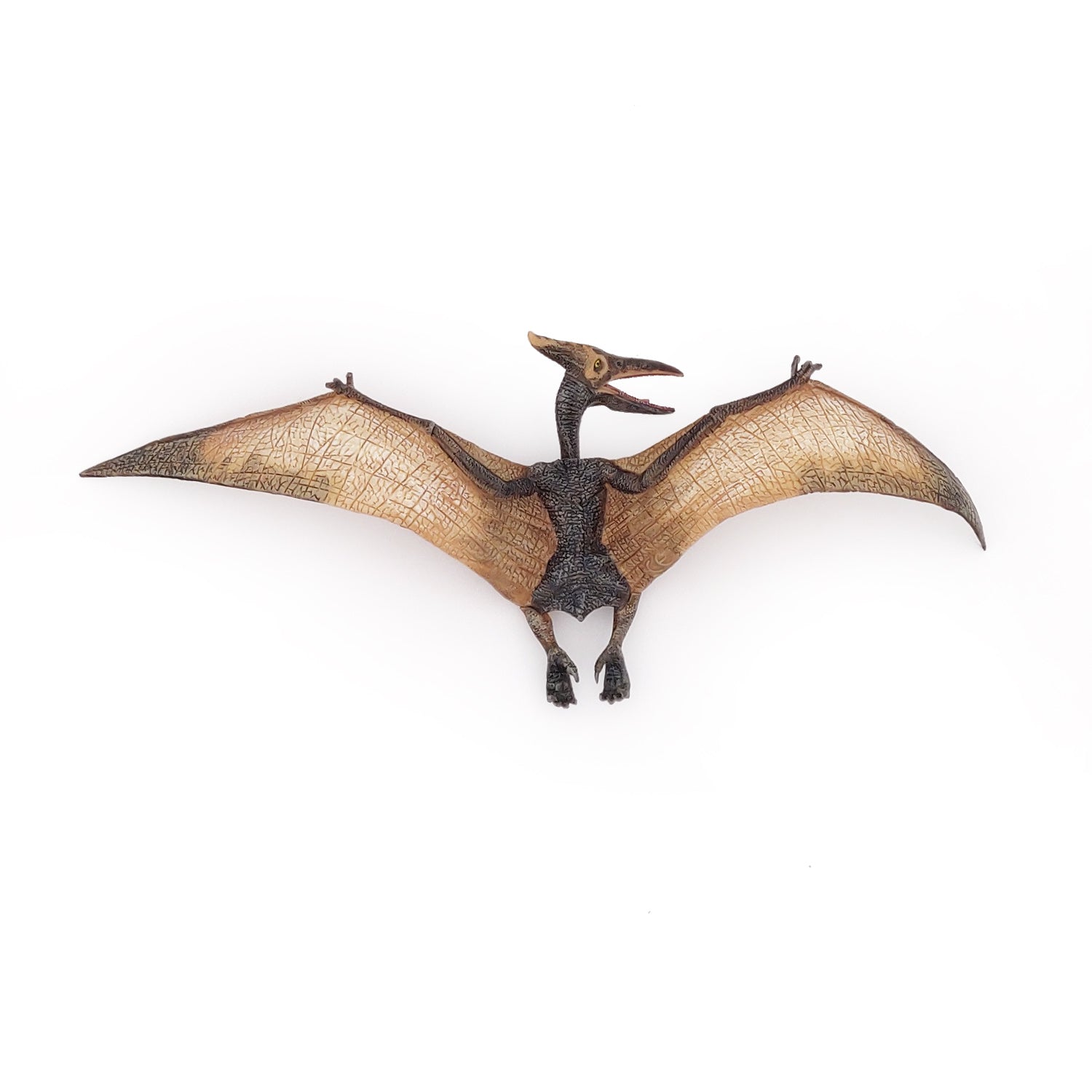 papo-dinosaurs-pt-ranodon-figurine-reptile-volant image 6