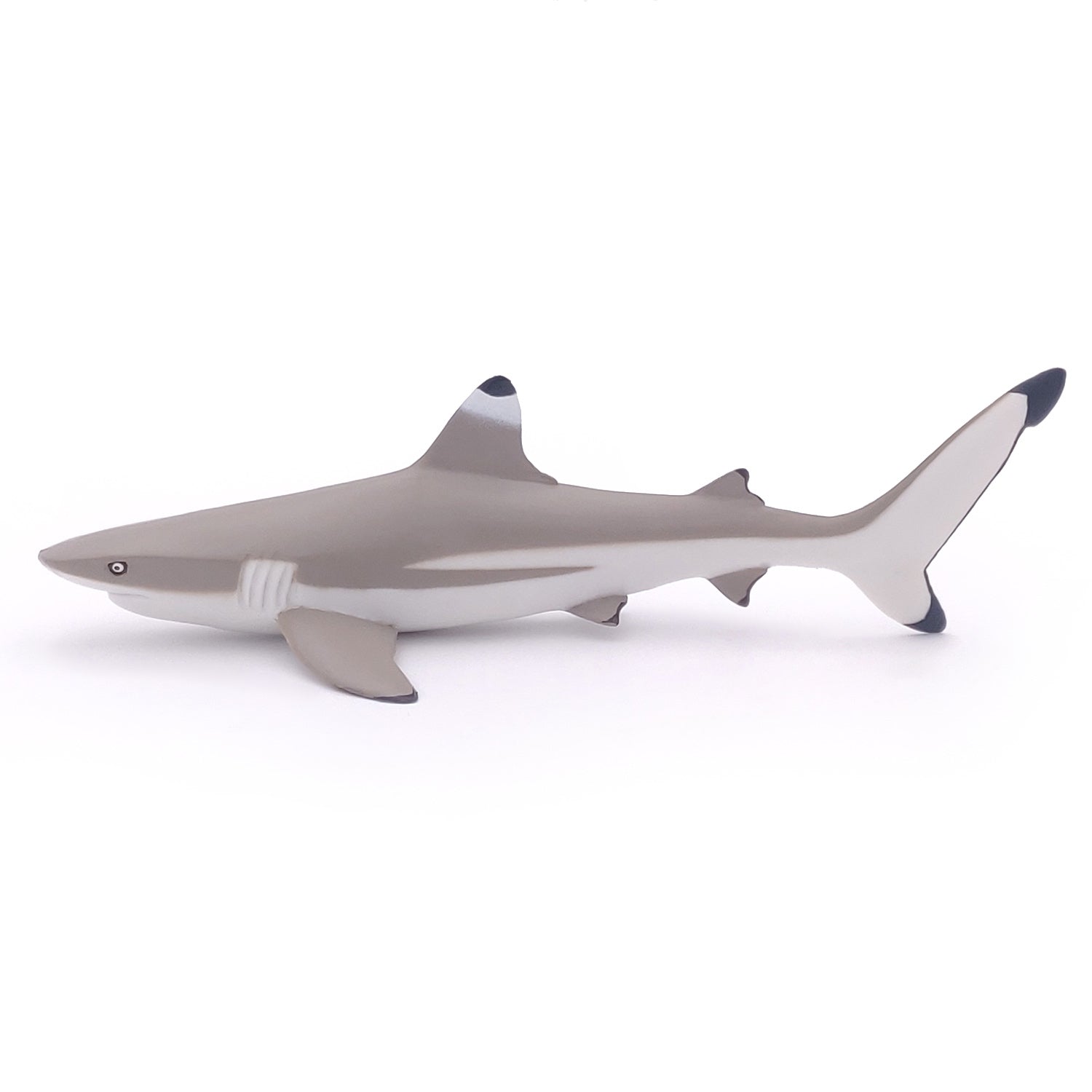 papo-marine-world-requin-pointes-noires-figurine-mer image 6