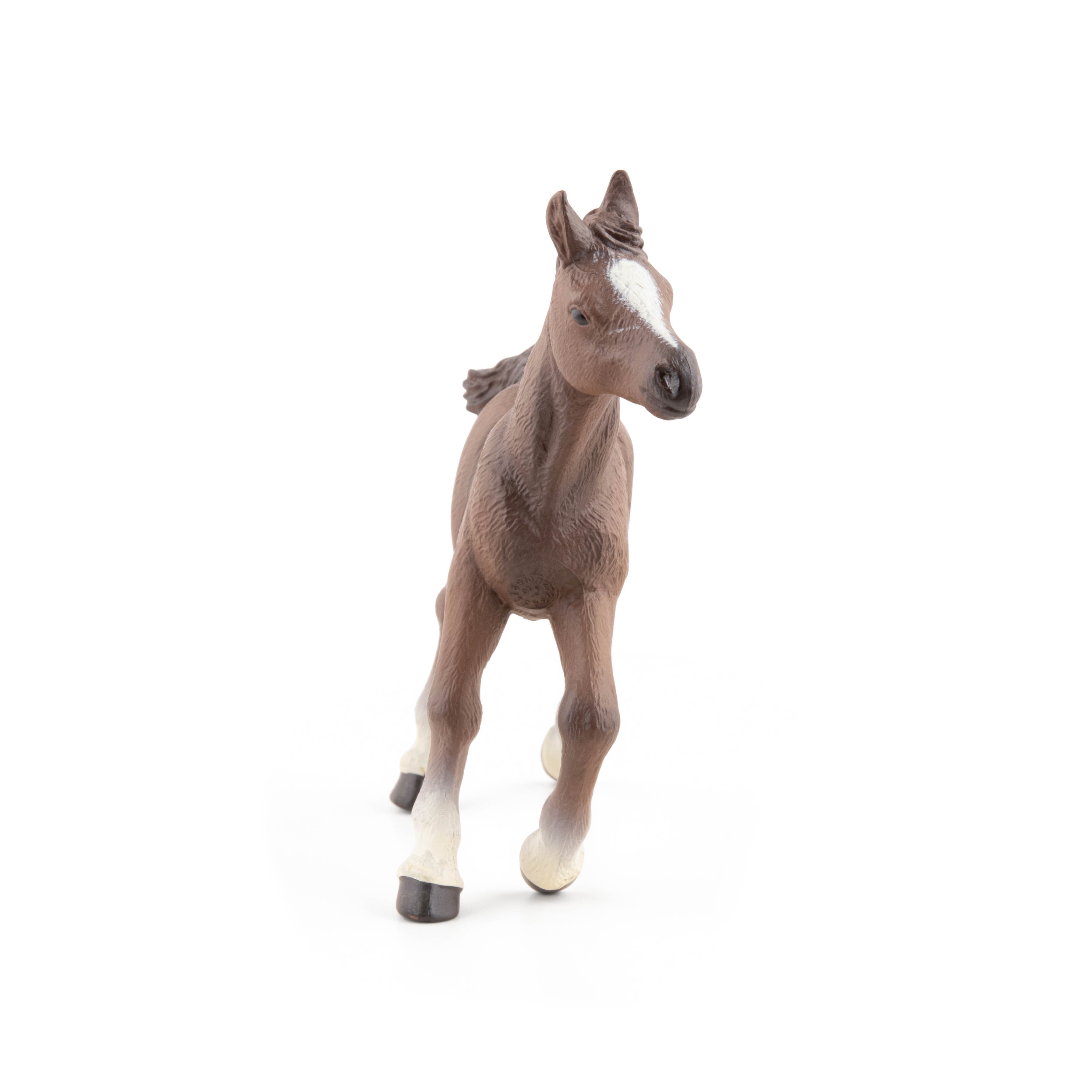 papo-chevaux-poulain-anglo-arabe-figurine-bai image 3