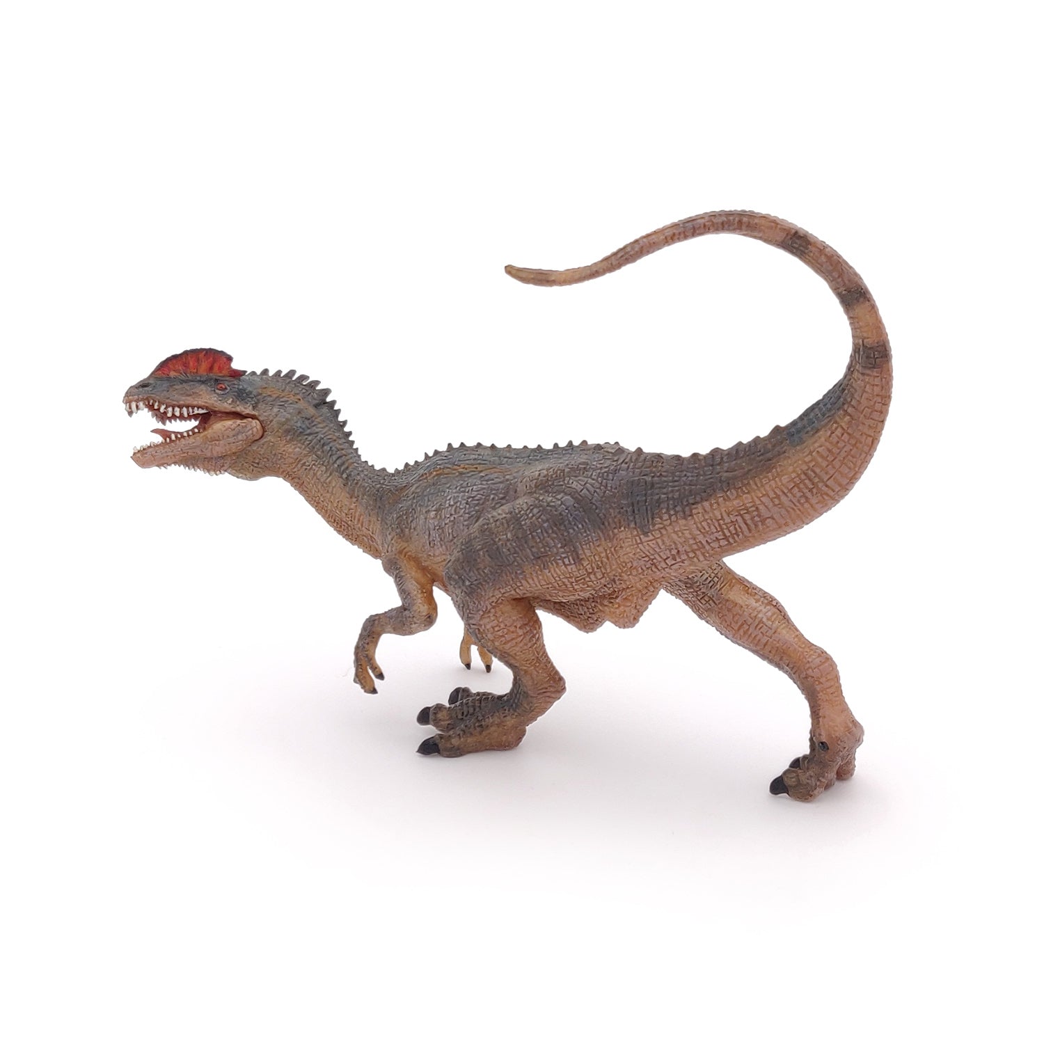 papo-dinosaures-figurine-dilophosaure-carnivore-jurassique image 1