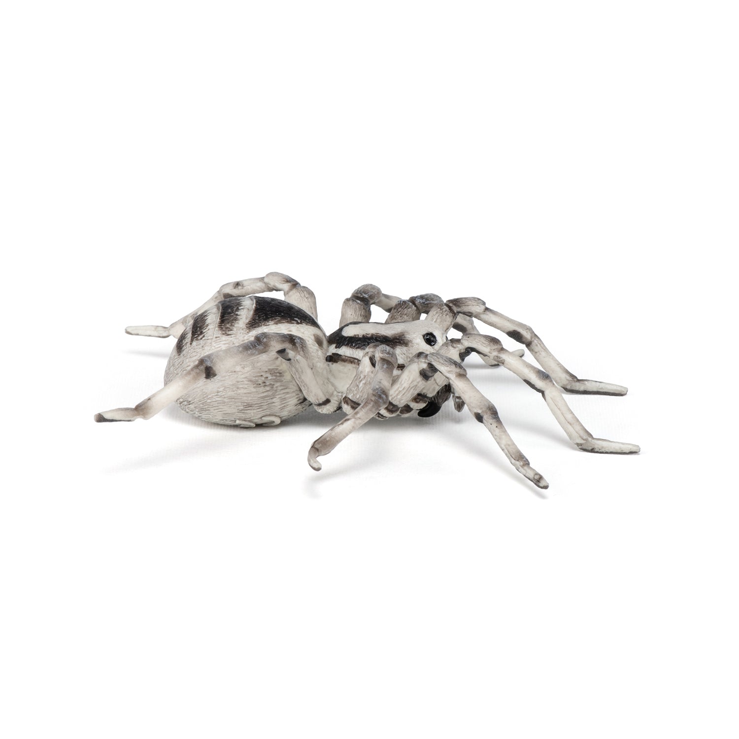 papo-wildlife-tarentule-figurine-araign-e-velue image 5