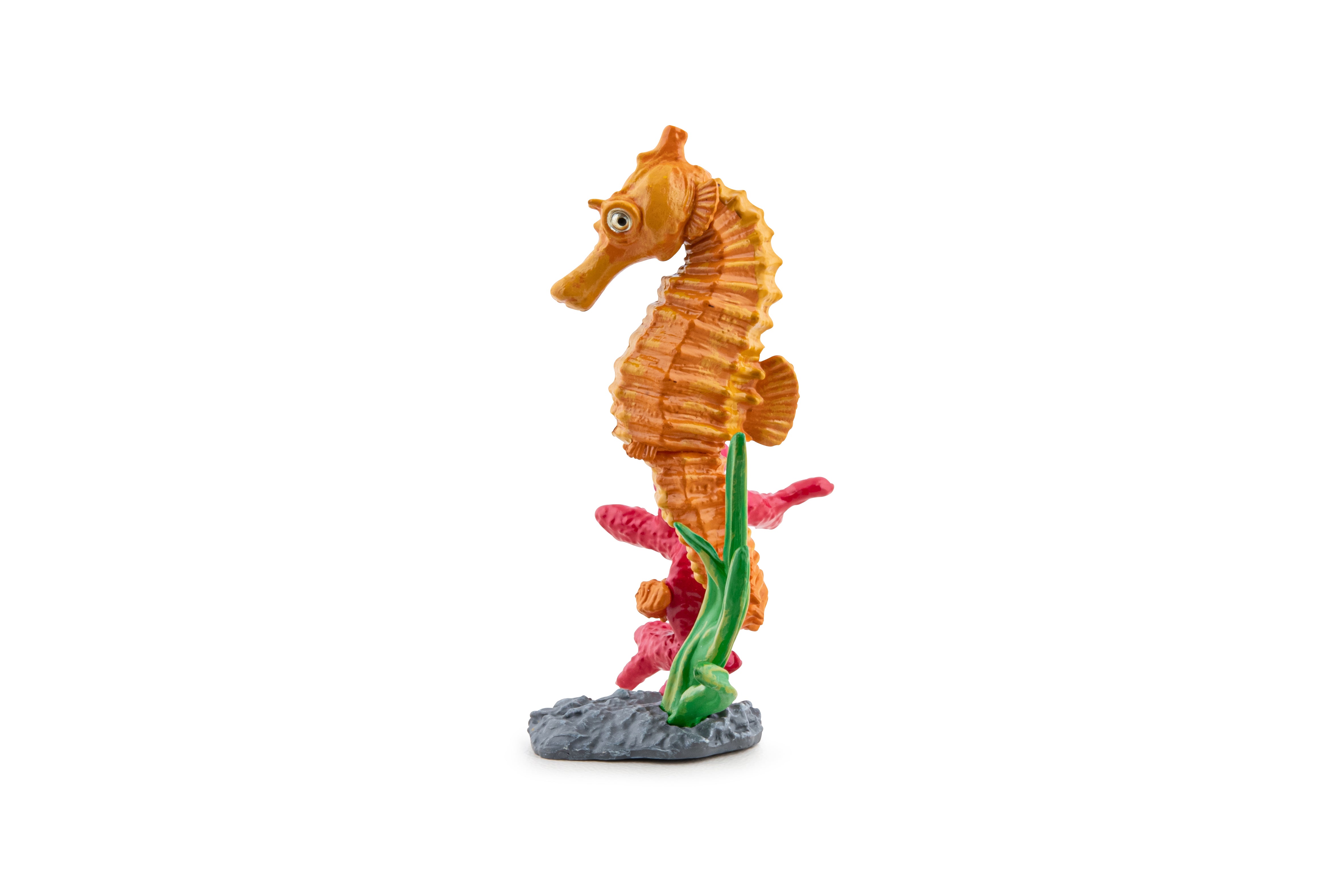 papo-marine-world-figurine-hippocampe-animaux-marins image 3