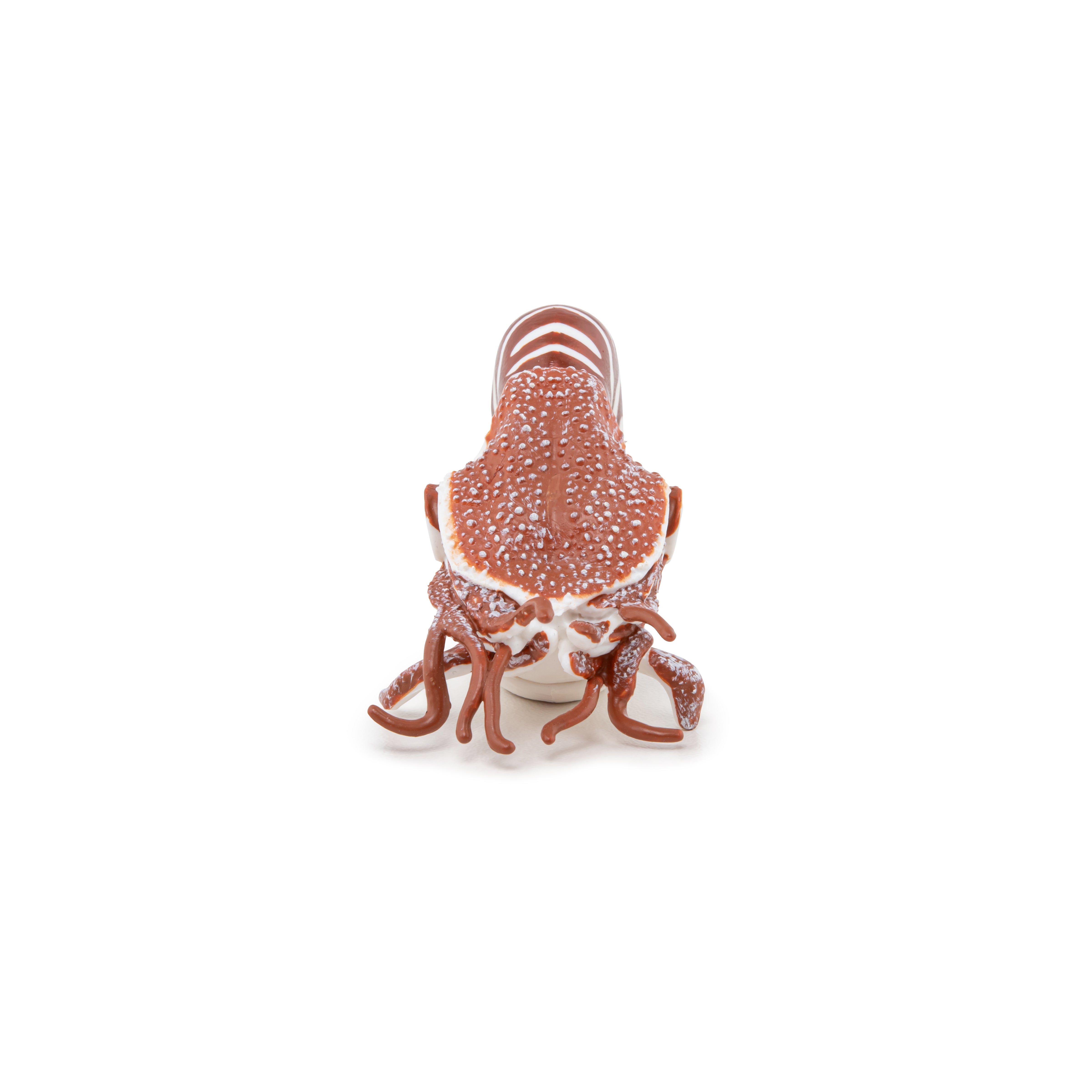 papo-marine-world-nautile-figurine-coquille-spiral-e image 3