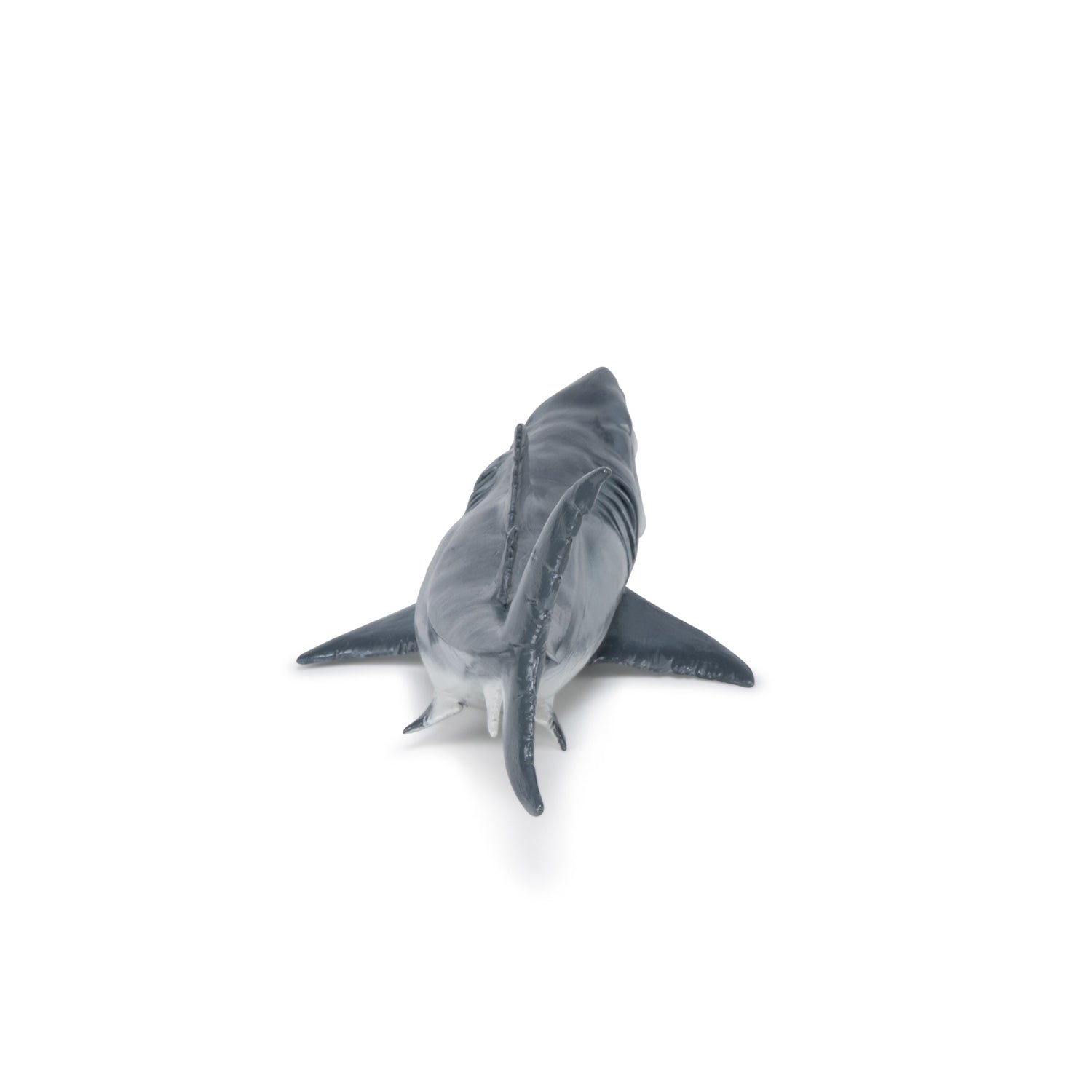 papo-dinosaurs-figurine-m-galodon-requin-pr-historique-g-ant image 8