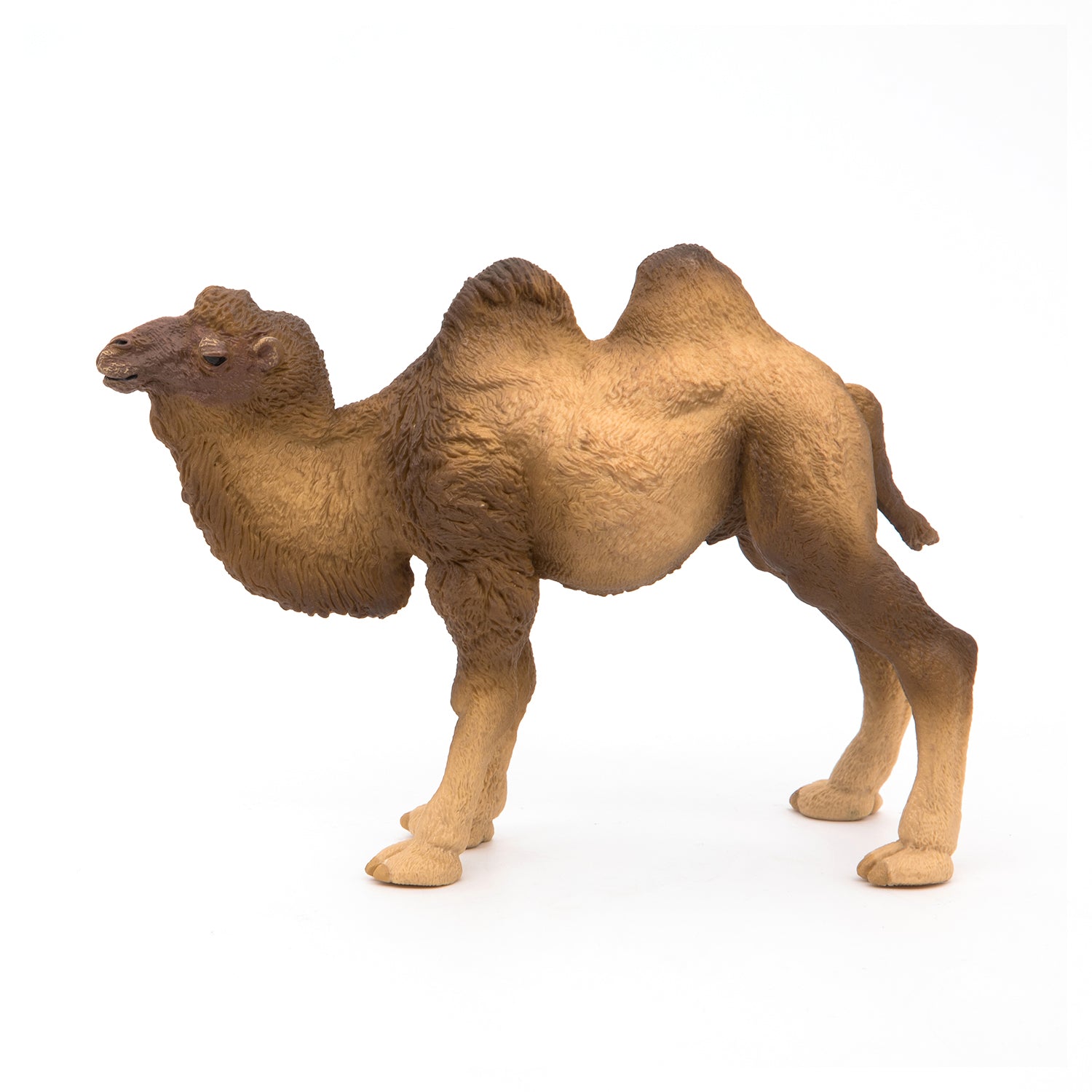 papo-wildlife-chameau-de-bactriane-figurine-d-sert image 7