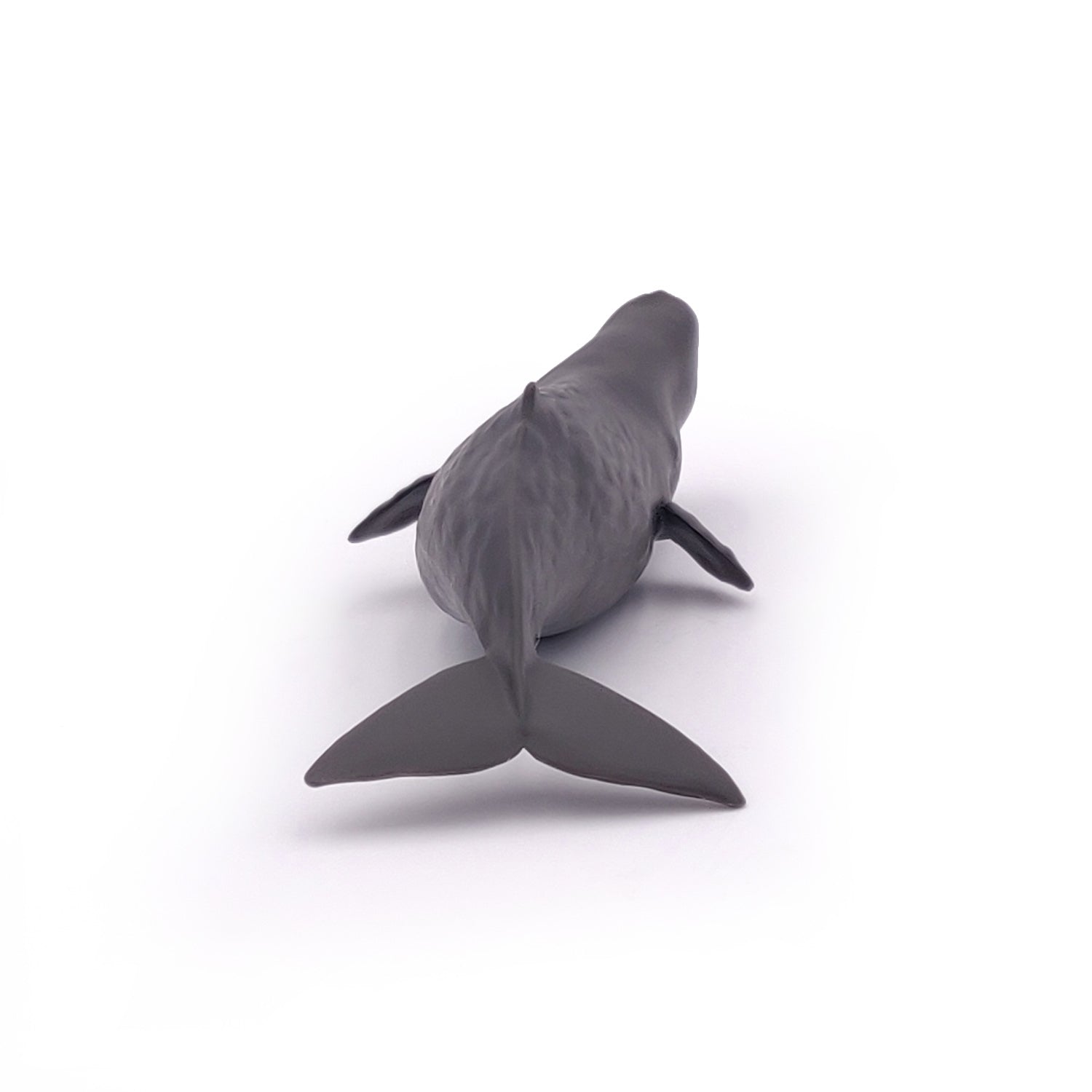 papo-marine-world-b-b-cachalot-figurine-animal-marin image 5