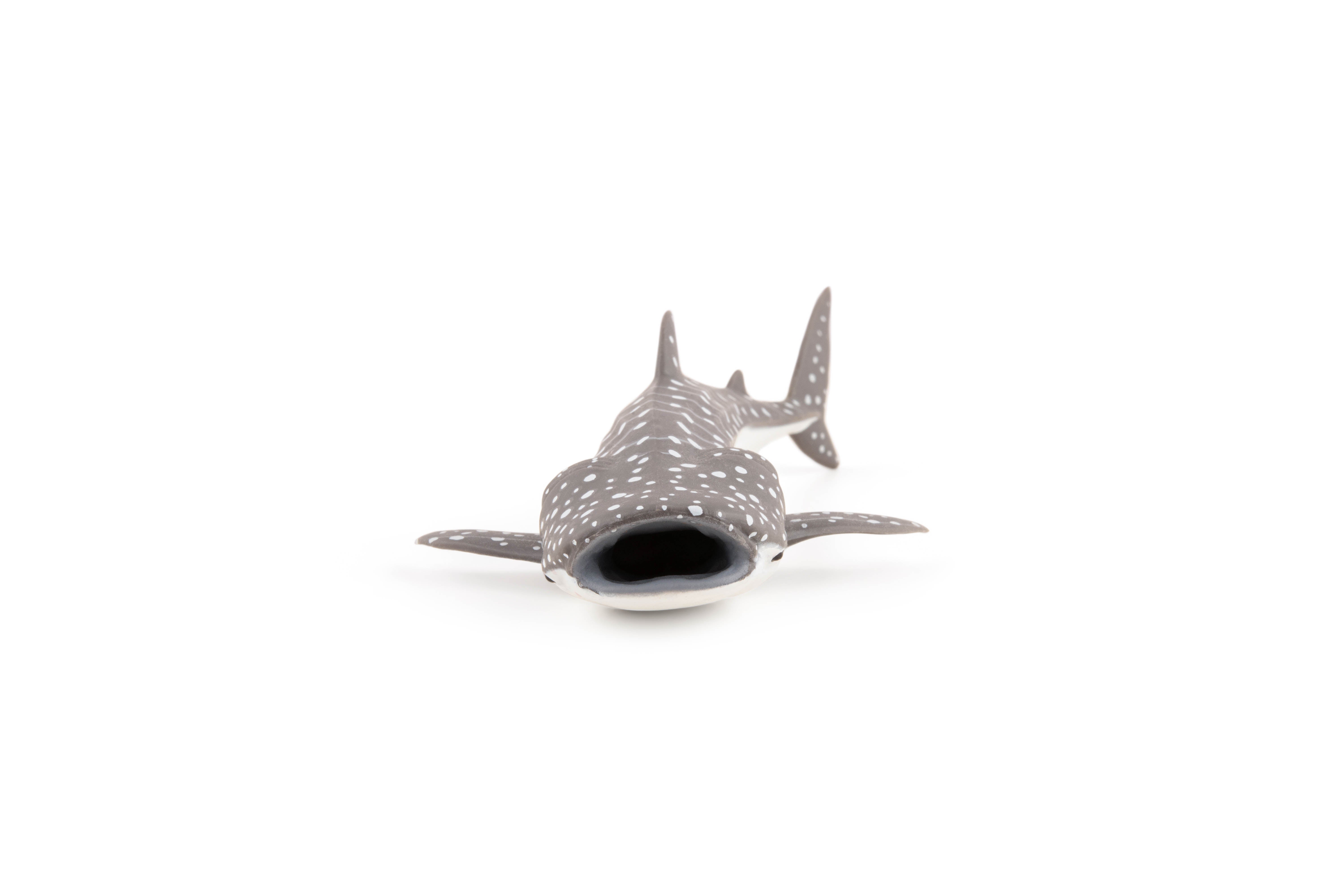 papo-marine-world-jeune-requin-baleine-figurine-bleu-tachet image 4