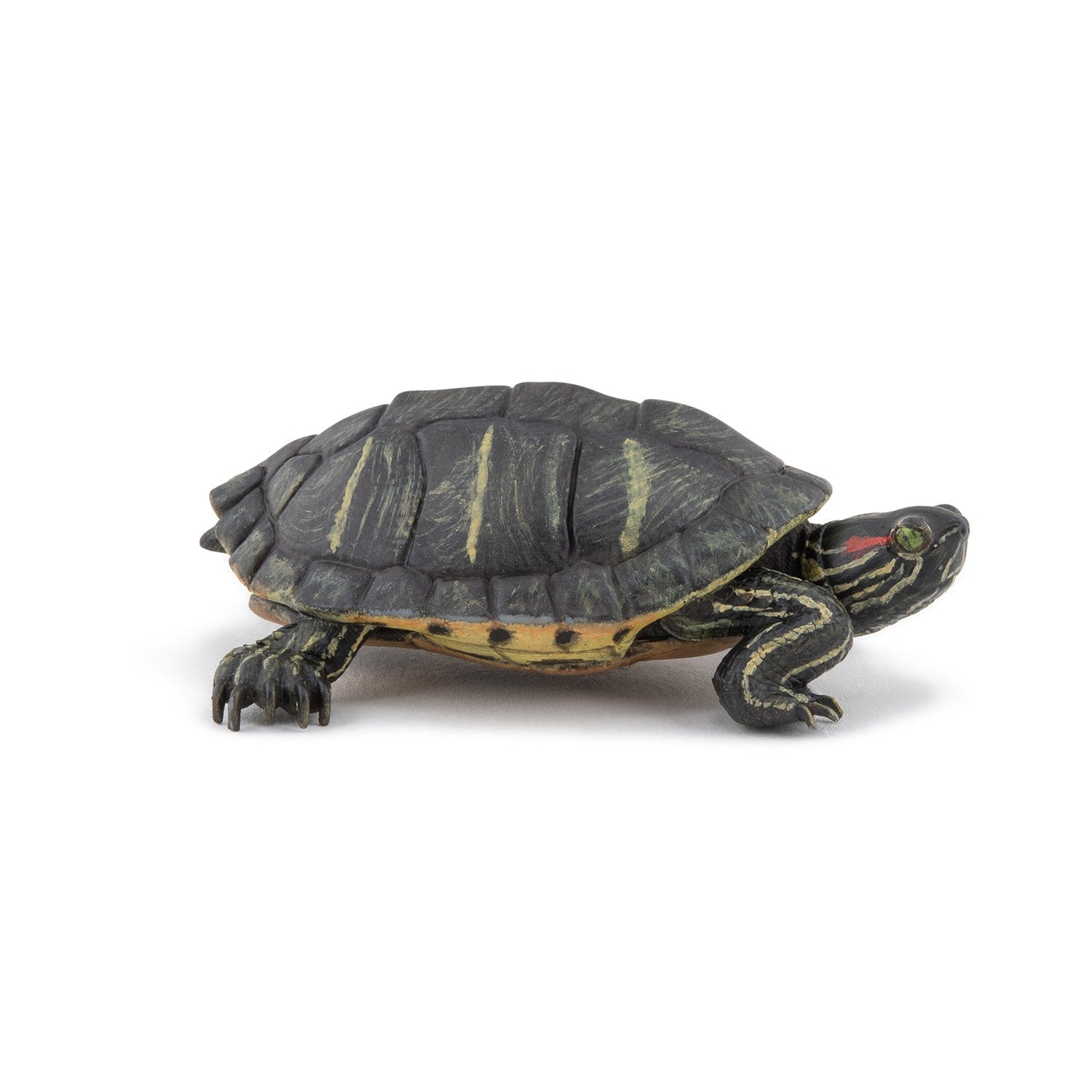 papo-wildlife-tortue-de-floride-figurine-reptile image 1