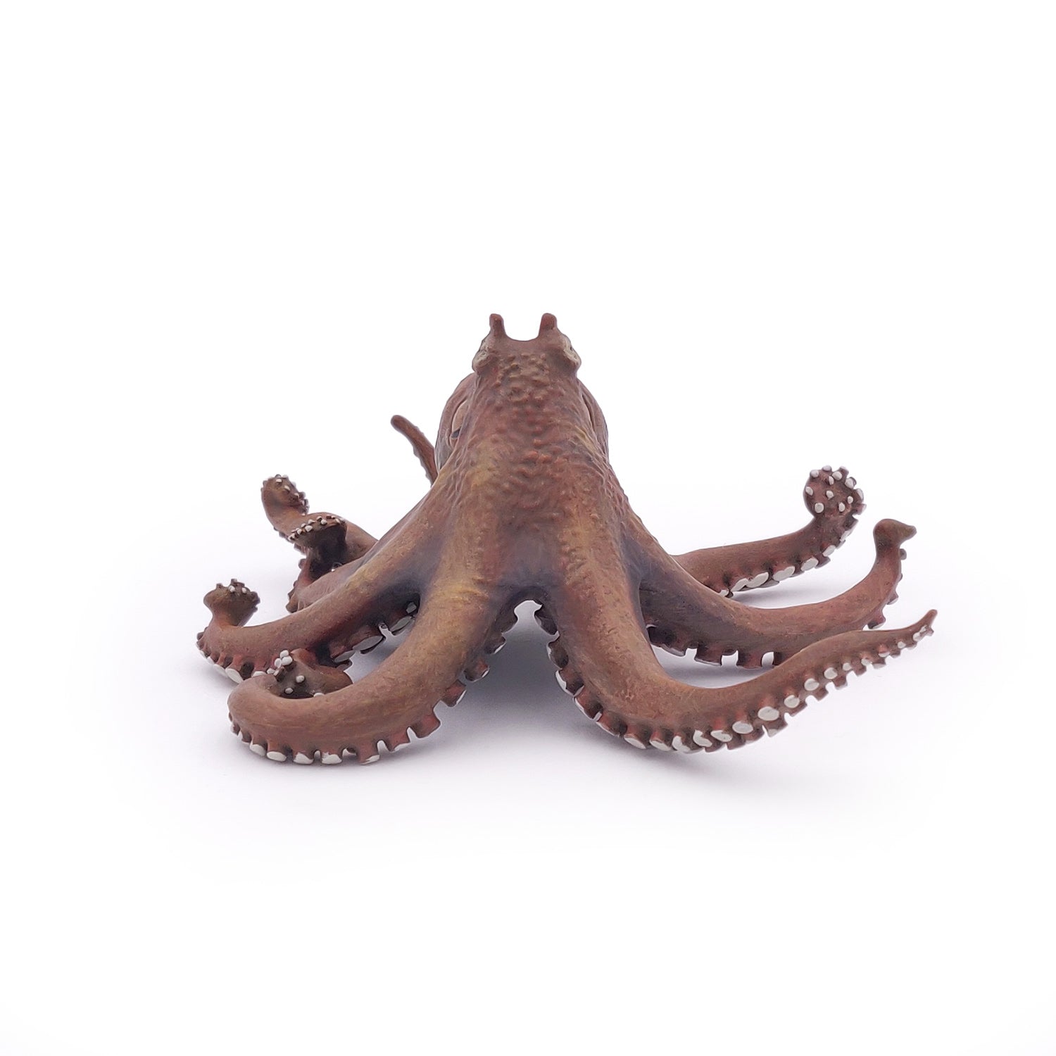papo-marine-world-pieuvre-figurine-marine-8-bras image 2