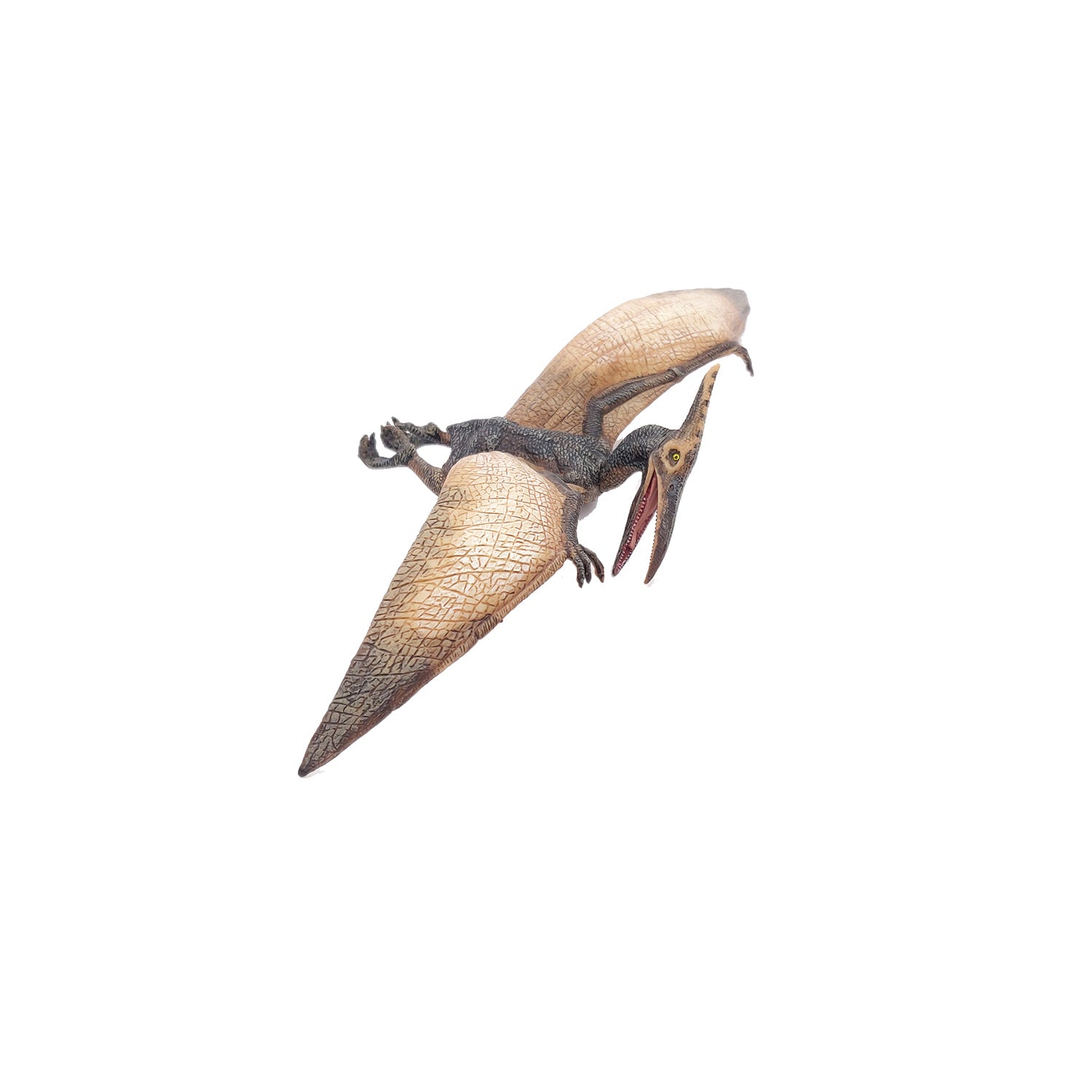 papo-dinosaurs-pt-ranodon-figurine-reptile-volant image 5