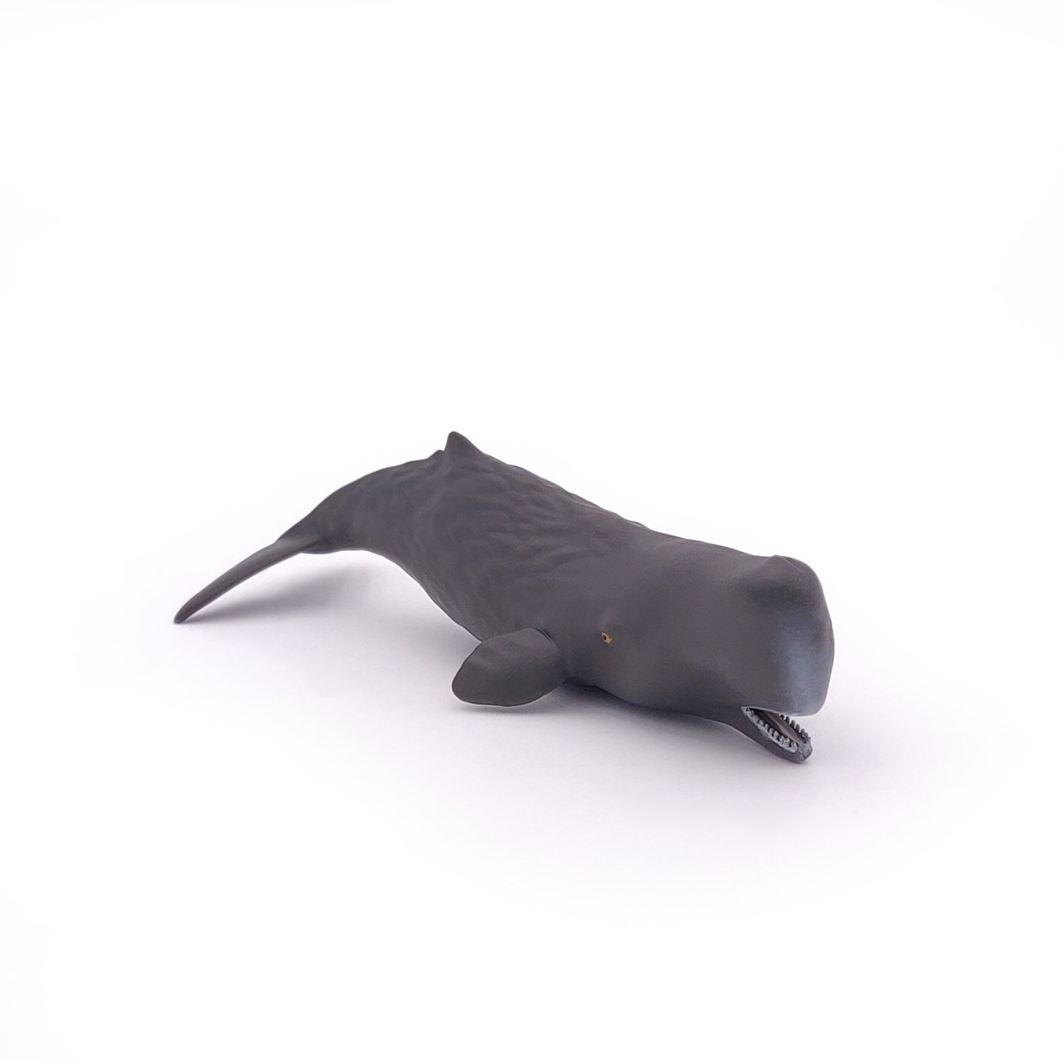 papo-marine-world-b-b-cachalot-figurine-animal-marin image 3