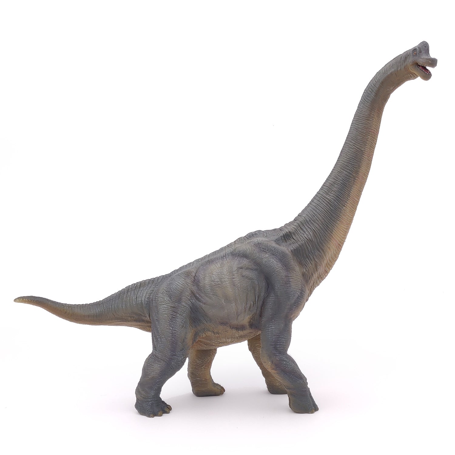 papo-dinosaurs-brachiosaure-figurine-dinosaure-herbivore-jurassique image 1