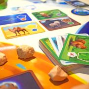 blue-orange-planet-jeu-de-soci-t-plan-te-animaux image 6