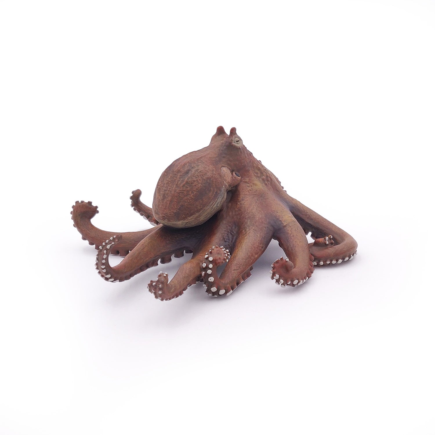 papo-marine-world-pieuvre-figurine-marine-8-bras image 5