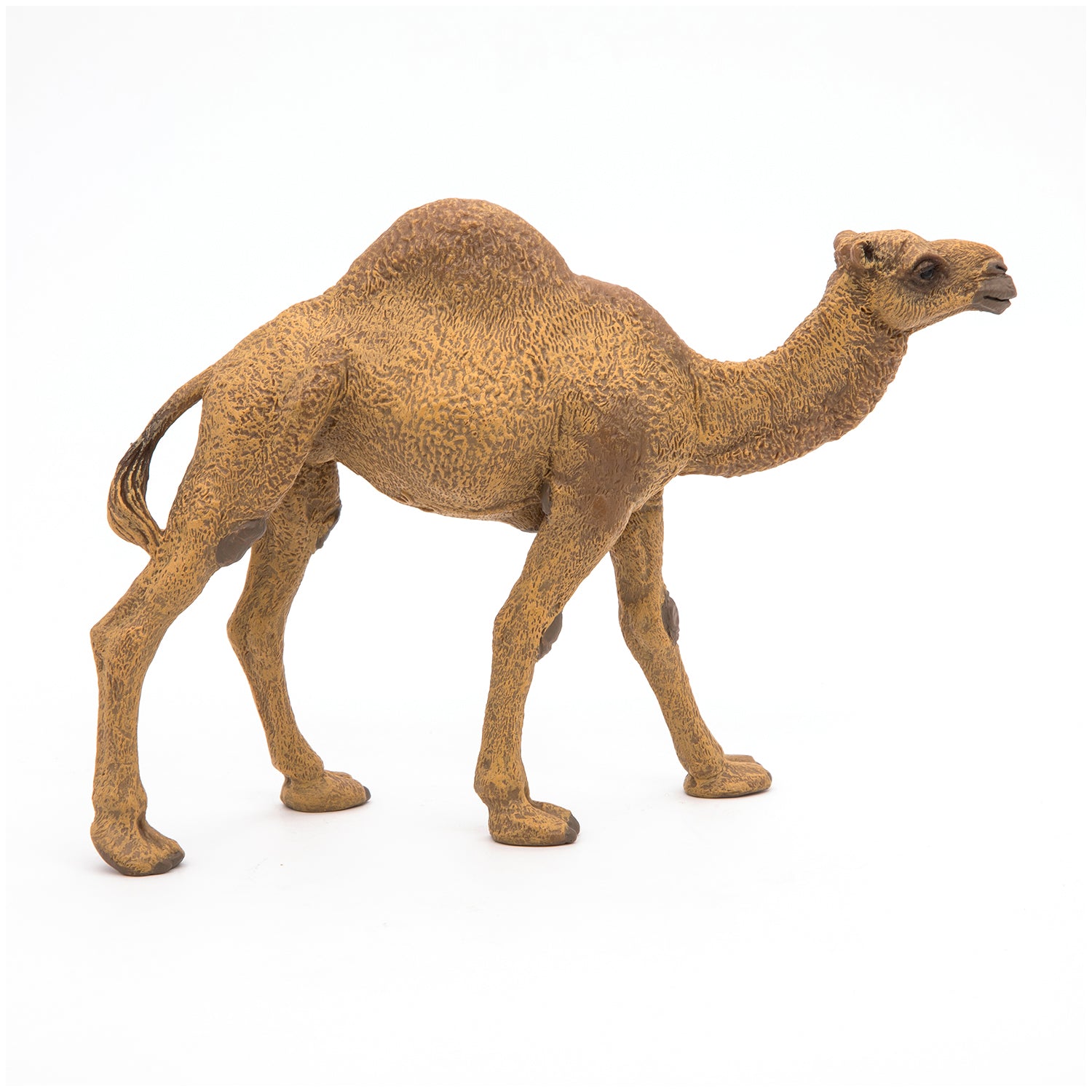 papo-wildlife-dromadaire-figurine-animal-d-sert image 1