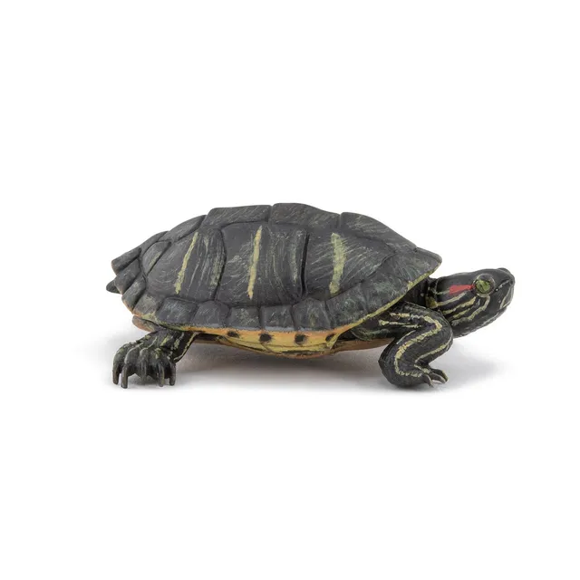 papo-wildlife-tortue-de-floride-figurine-reptile image 1