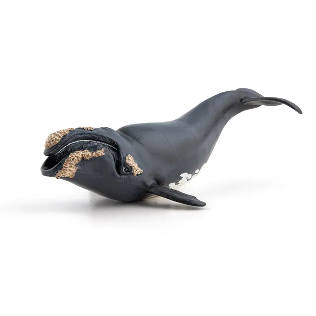 papo-marine-world-baleine-franche-figurine-c-tac-plancton image 1