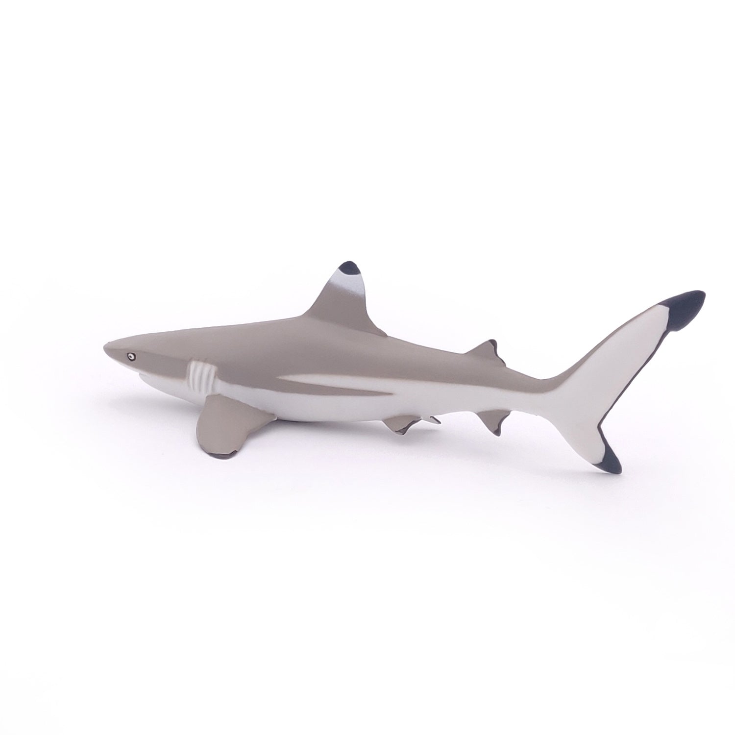 papo-marine-world-requin-pointes-noires-figurine-mer image 7