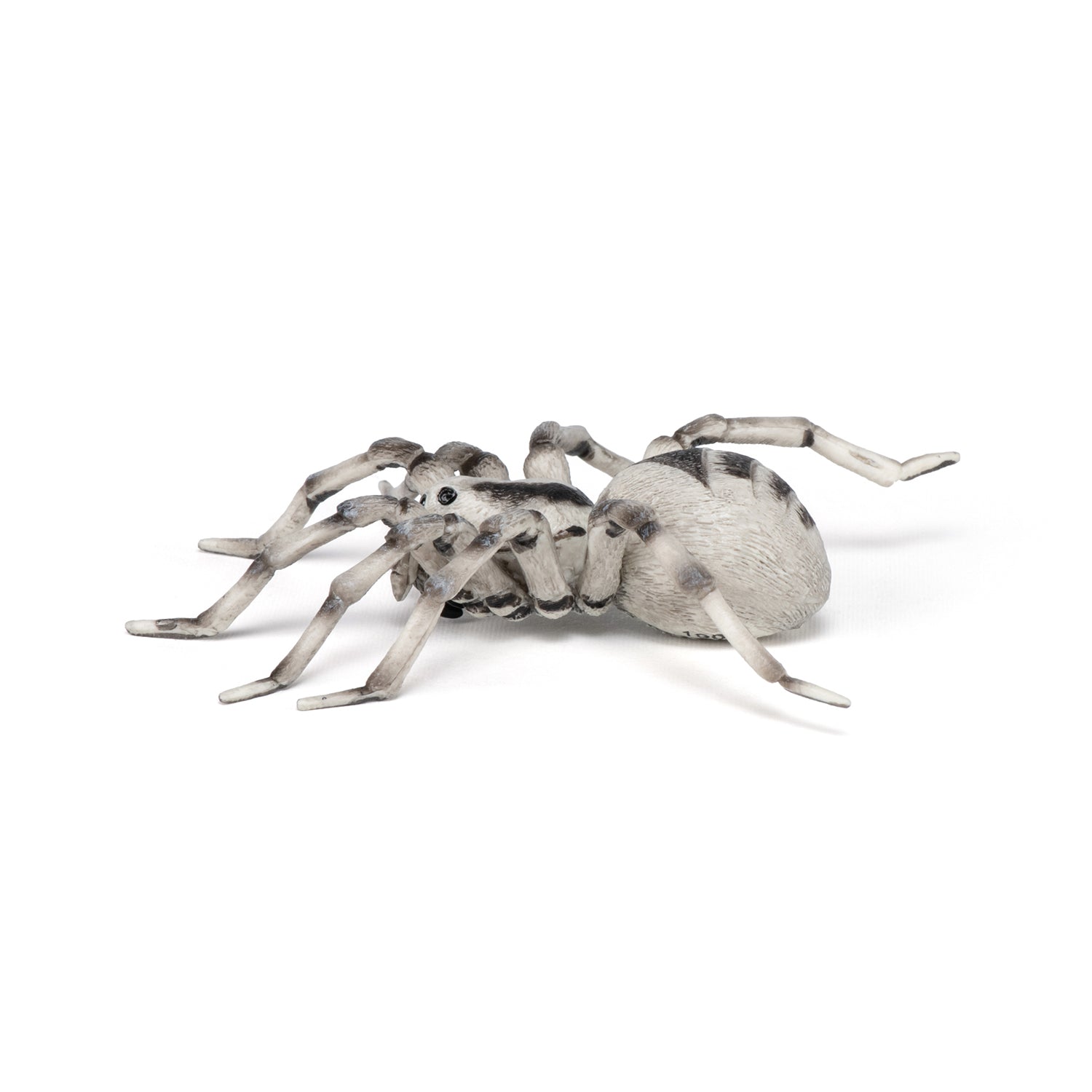 papo-wildlife-tarentule-figurine-araign-e-velue image 3