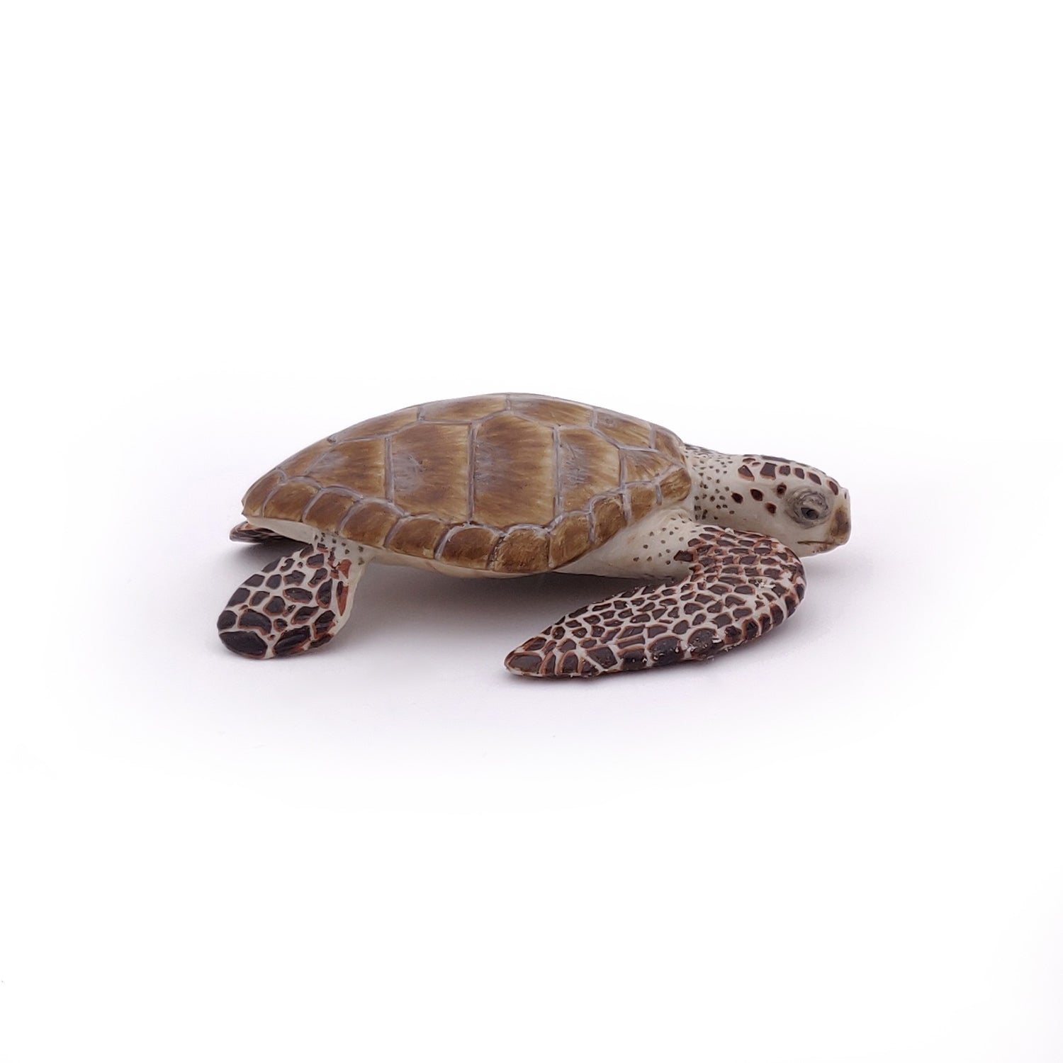 papo-marine-world-tortue-caouanne-figurine-tortue-marine image 5