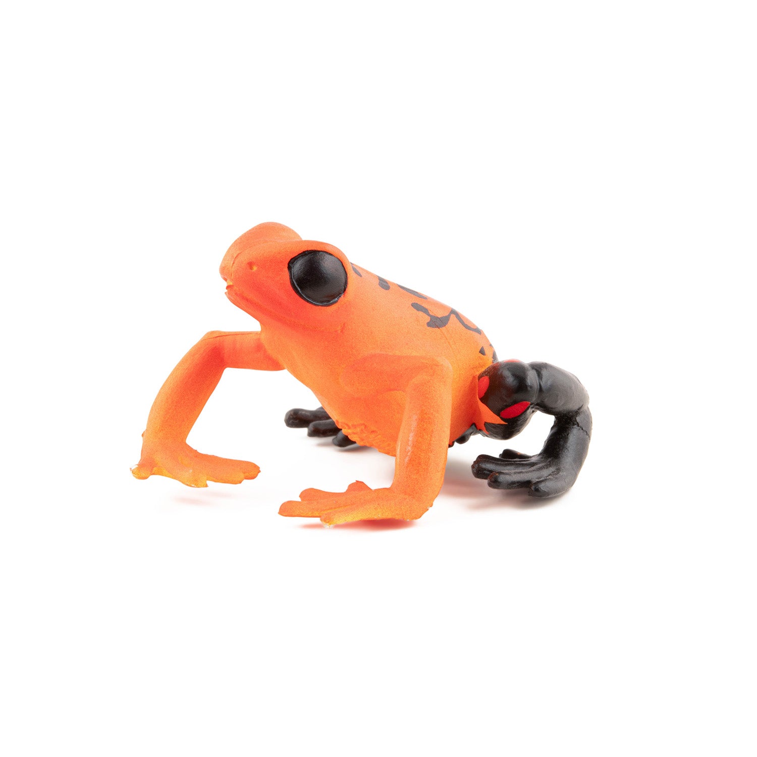 papo-wildlife-grenouille-quatoriale-rouge-figurine image 1