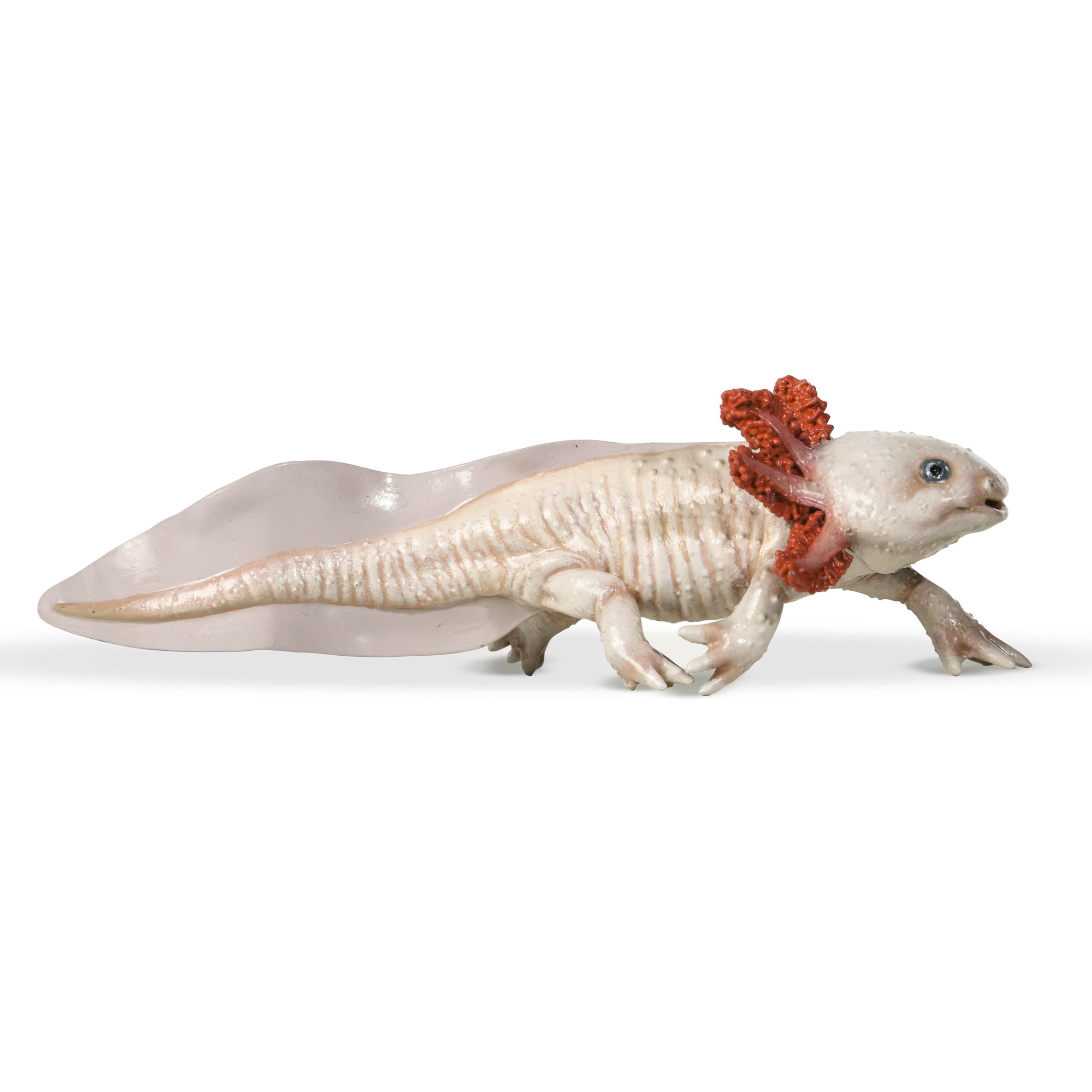 papo-wildlife-axolotl-figurine-amphibien-mexique image 5