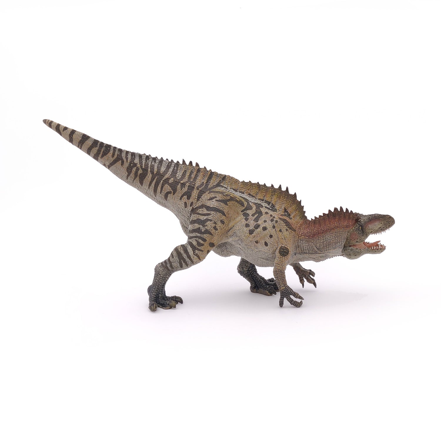 papo-dinosaurs-figurine-acrocanthosaurus-dinosaure-carnivore image 5