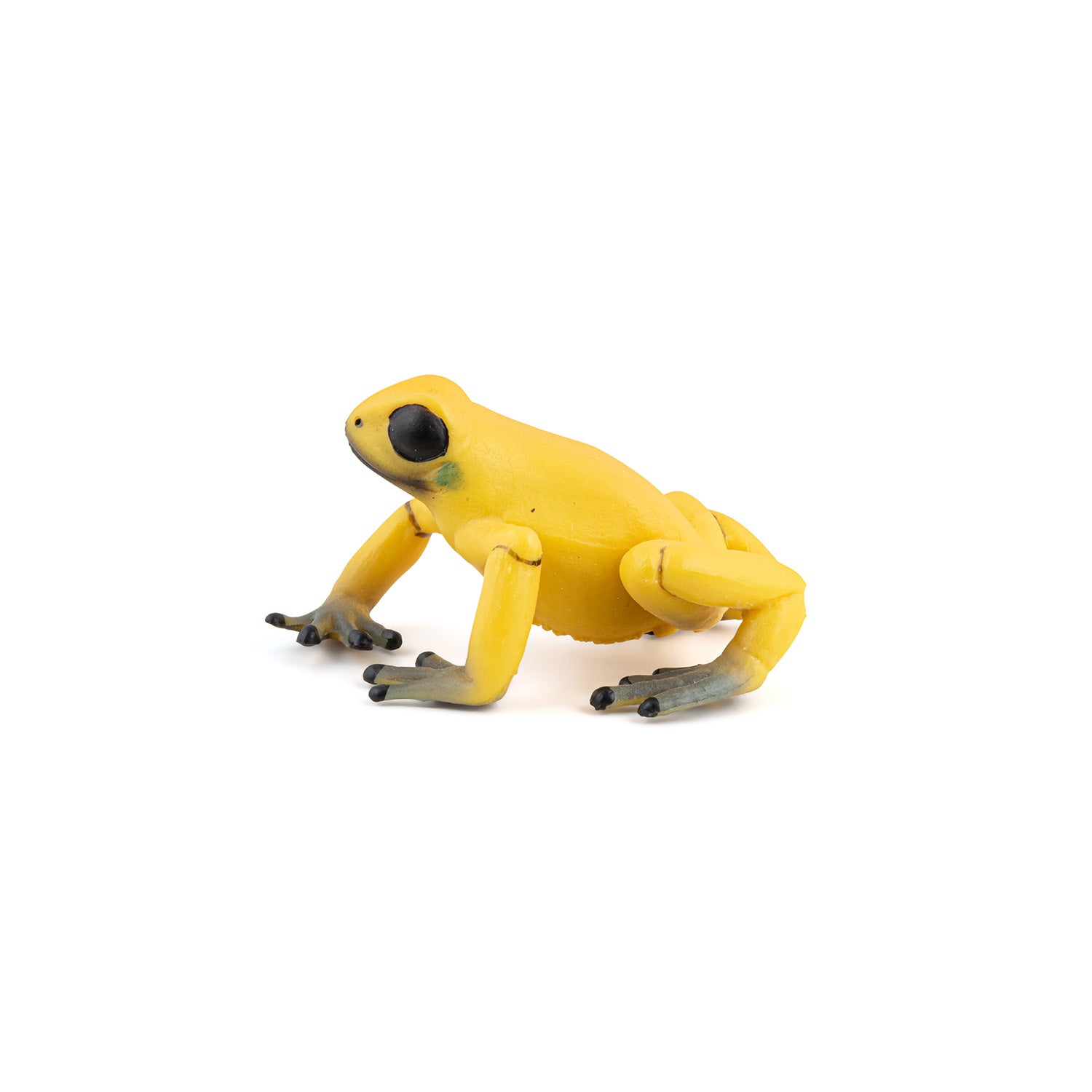papo-wildlife-grenouille-quatoriale-jaune-figurine-amphibien image 2