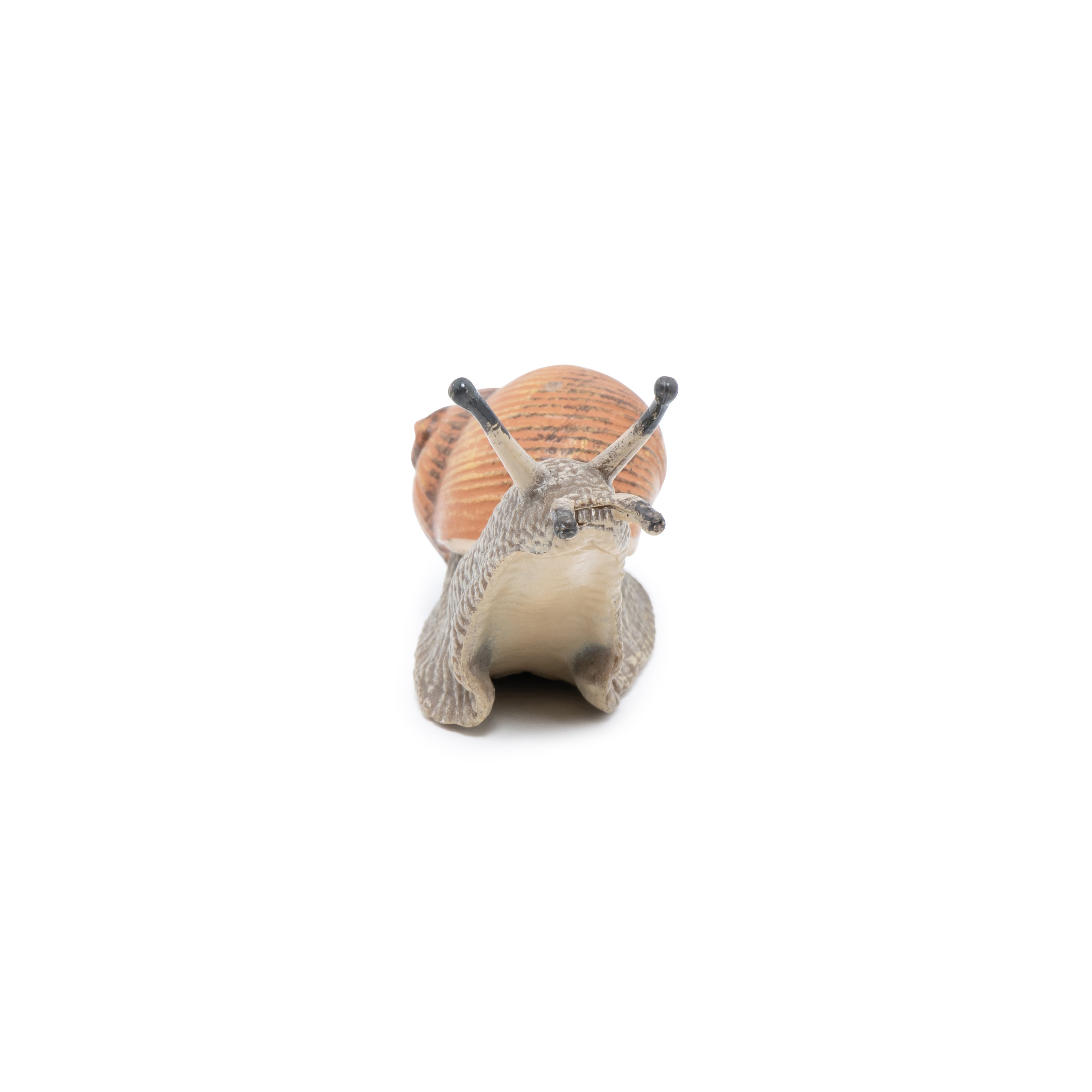 papo-garden-animals-figurine-escargot-coquille-lisse image 5