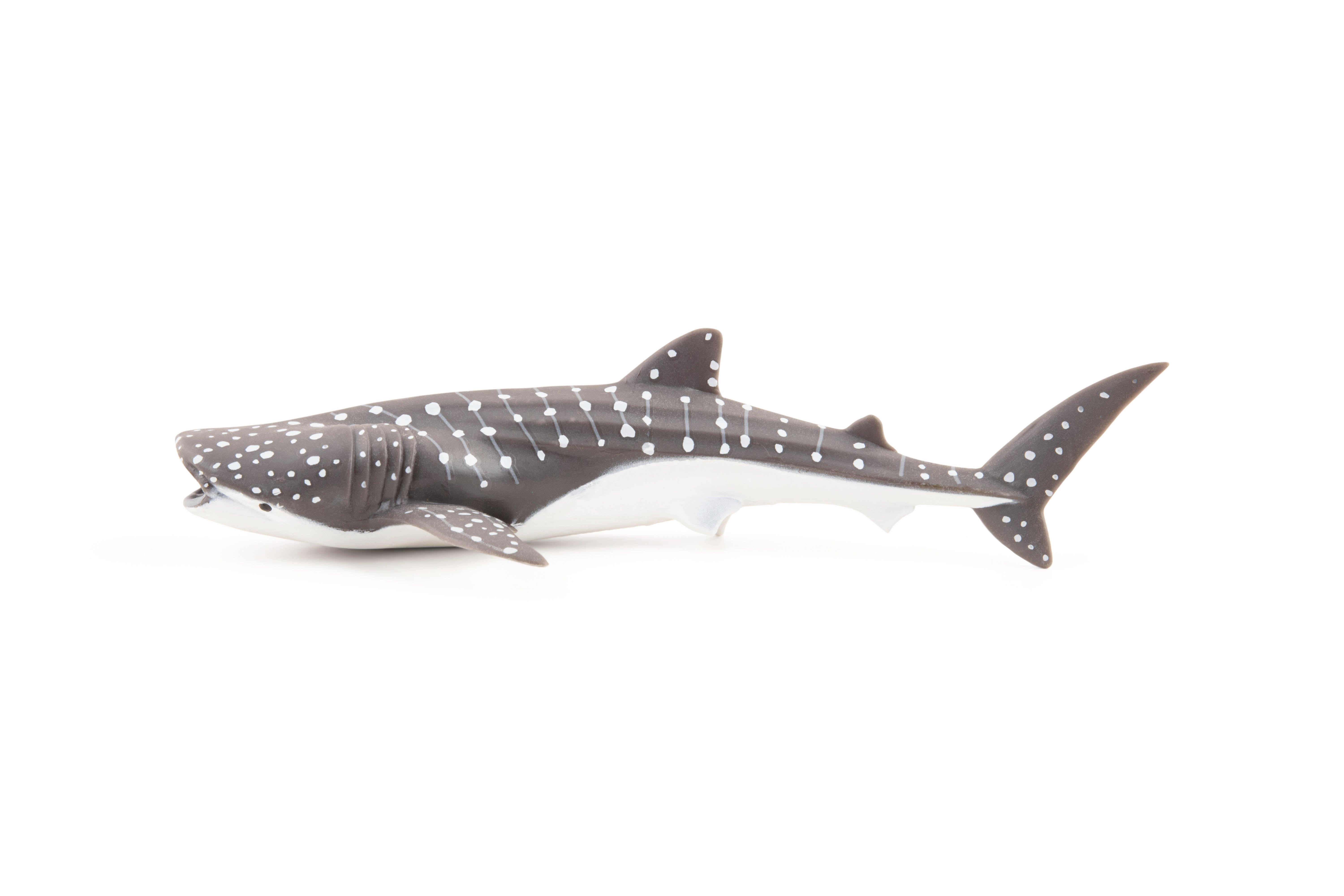 papo-marine-world-jeune-requin-baleine-figurine-bleu-tachet image 2