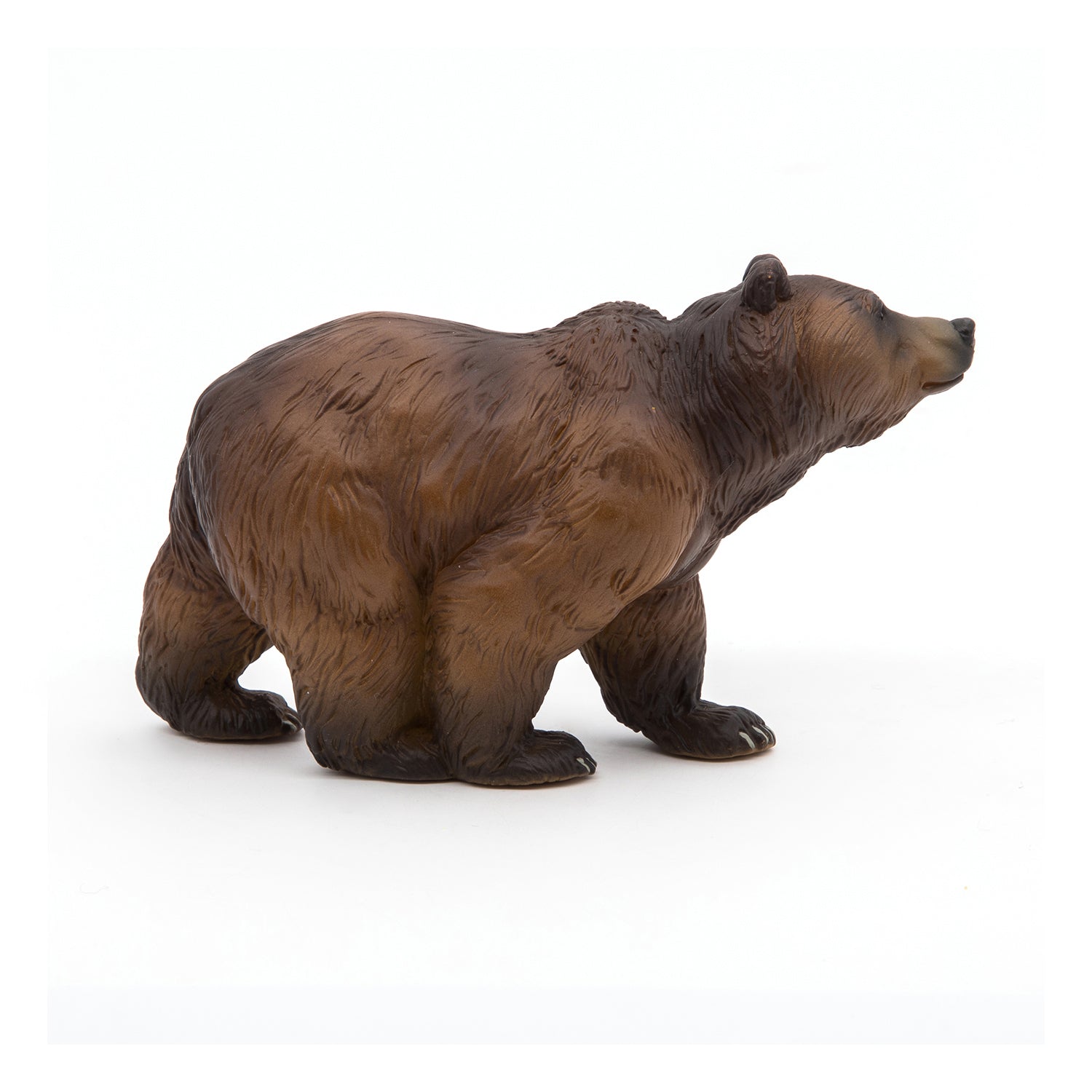 papo-wildlife-figurine-ours-des-pyr-n-es-montagne image 5