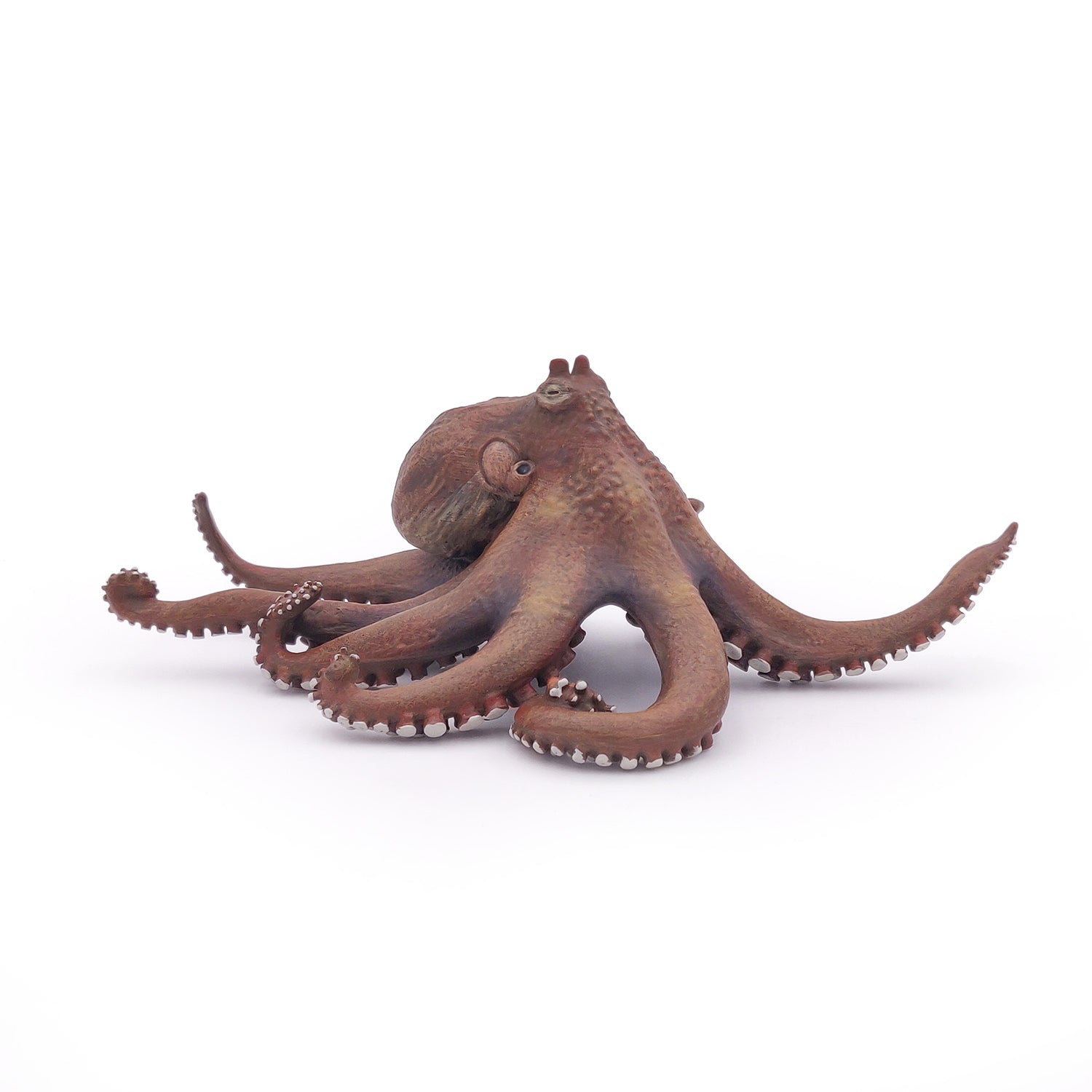 papo-marine-world-pieuvre-figurine-marine-8-bras image 3