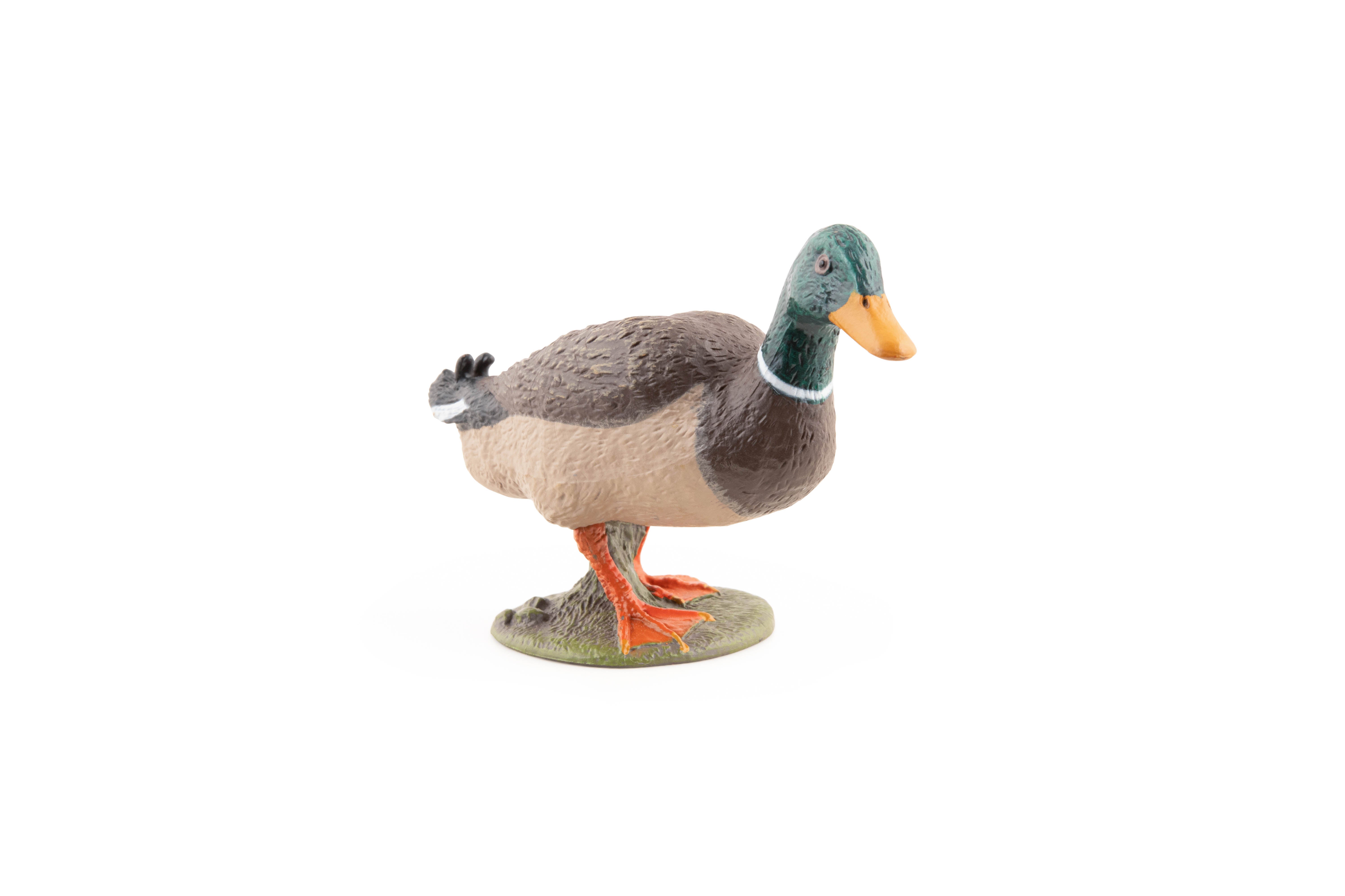 papo-farmyard-friends-canard-colvert-figurine-oiseau-ferme image 5