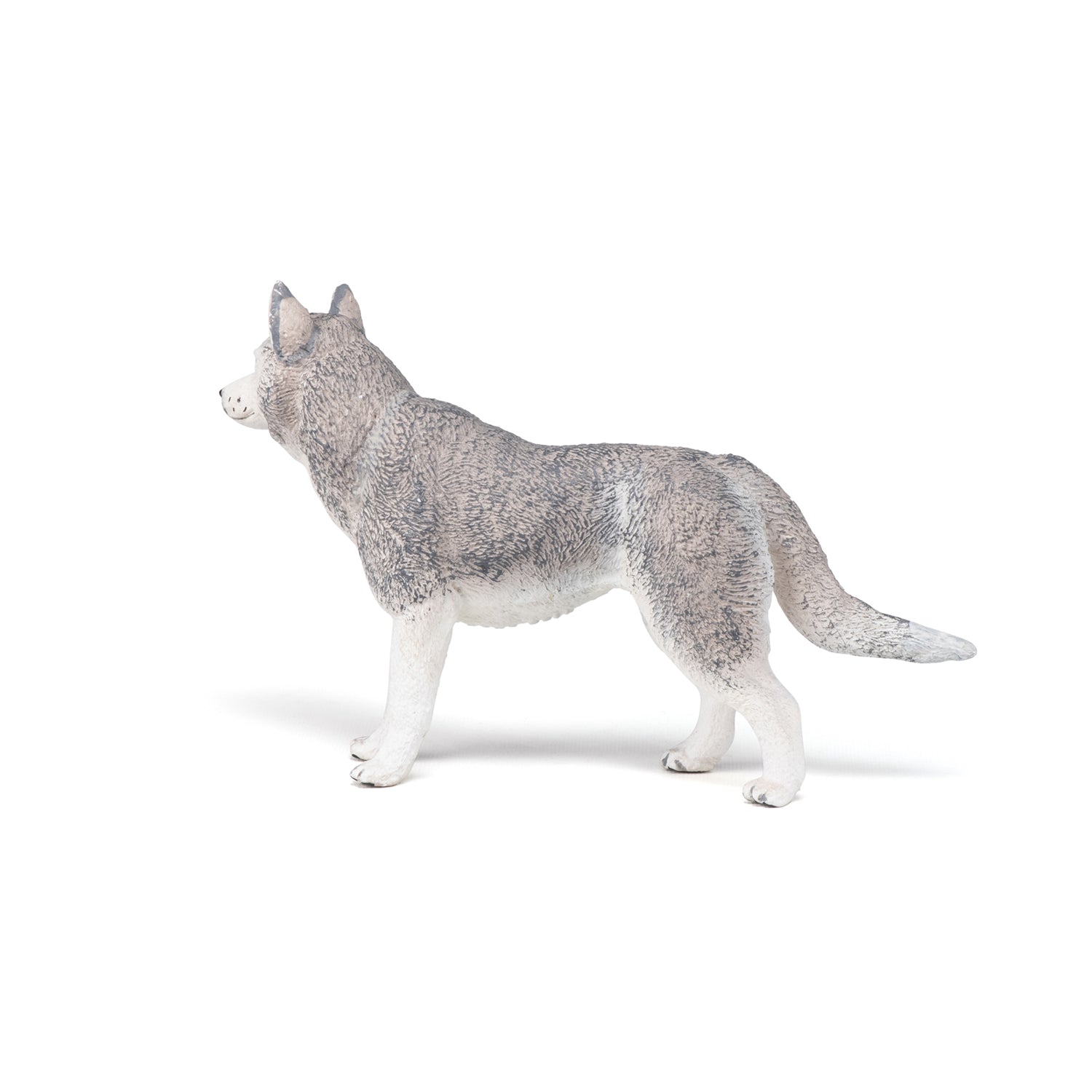 papo-dogs-cats-husky-de-sib-rie-figurine-chien-nordique image 4