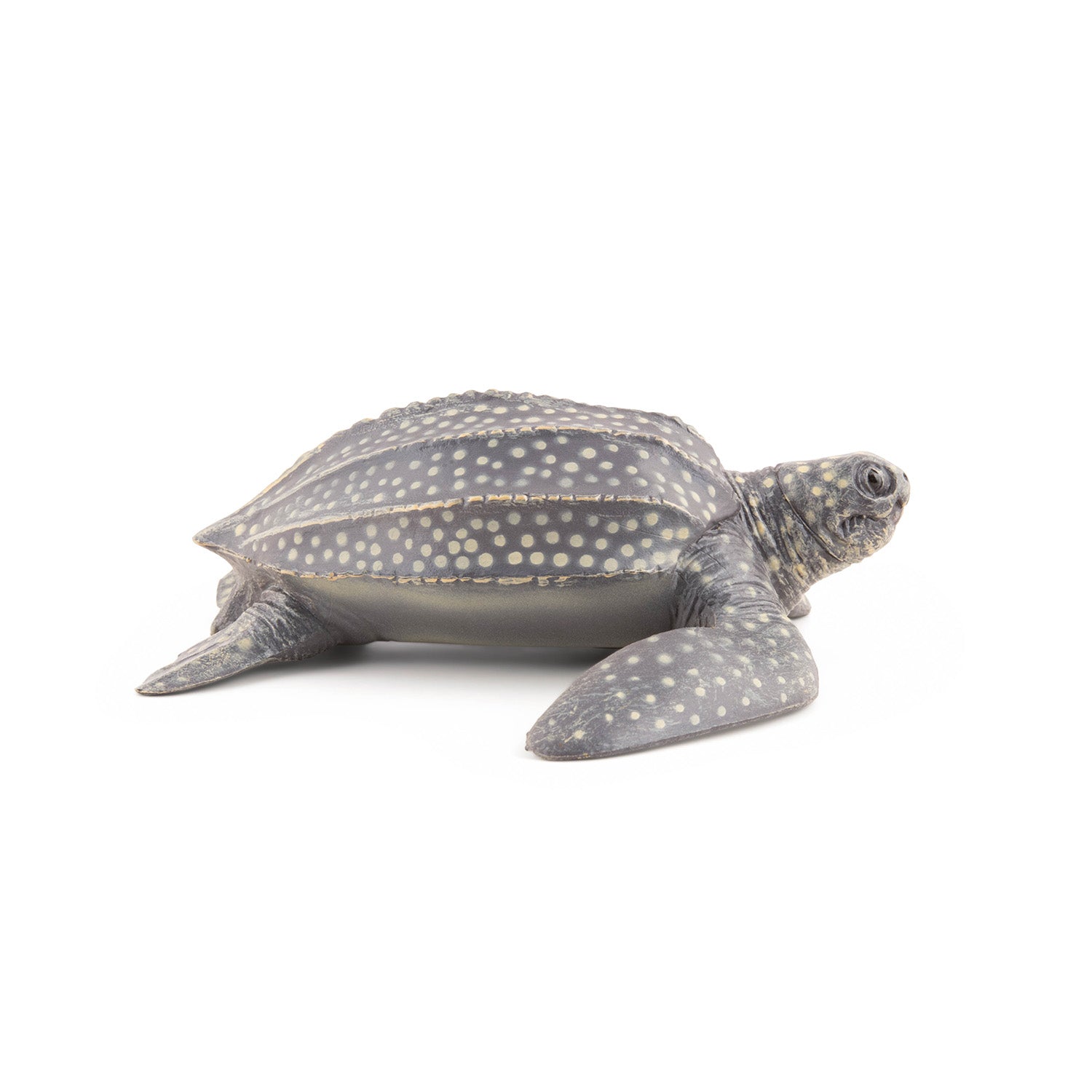 papo-marine-world-tortue-luth-figurine-marine image 2