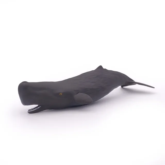 papo-marine-world-b-b-cachalot-figurine-animal-marin image 1
