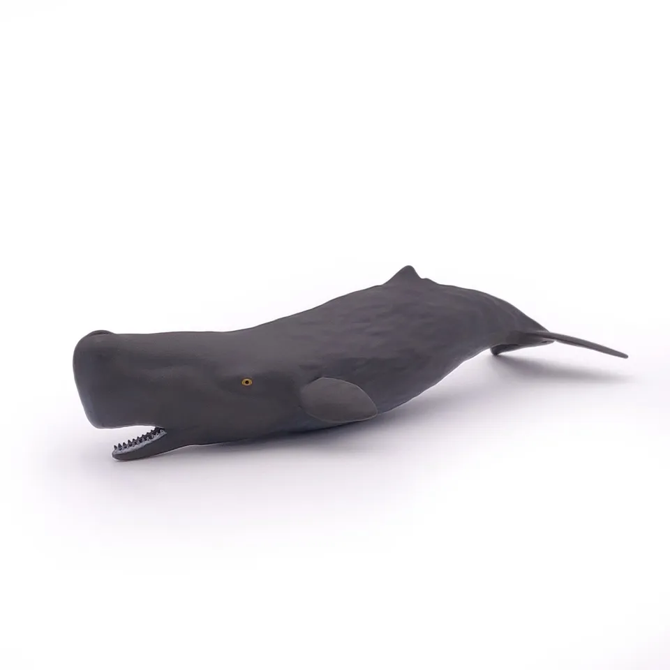 papo-marine-world-b-b-cachalot-figurine-animal-marin image 1