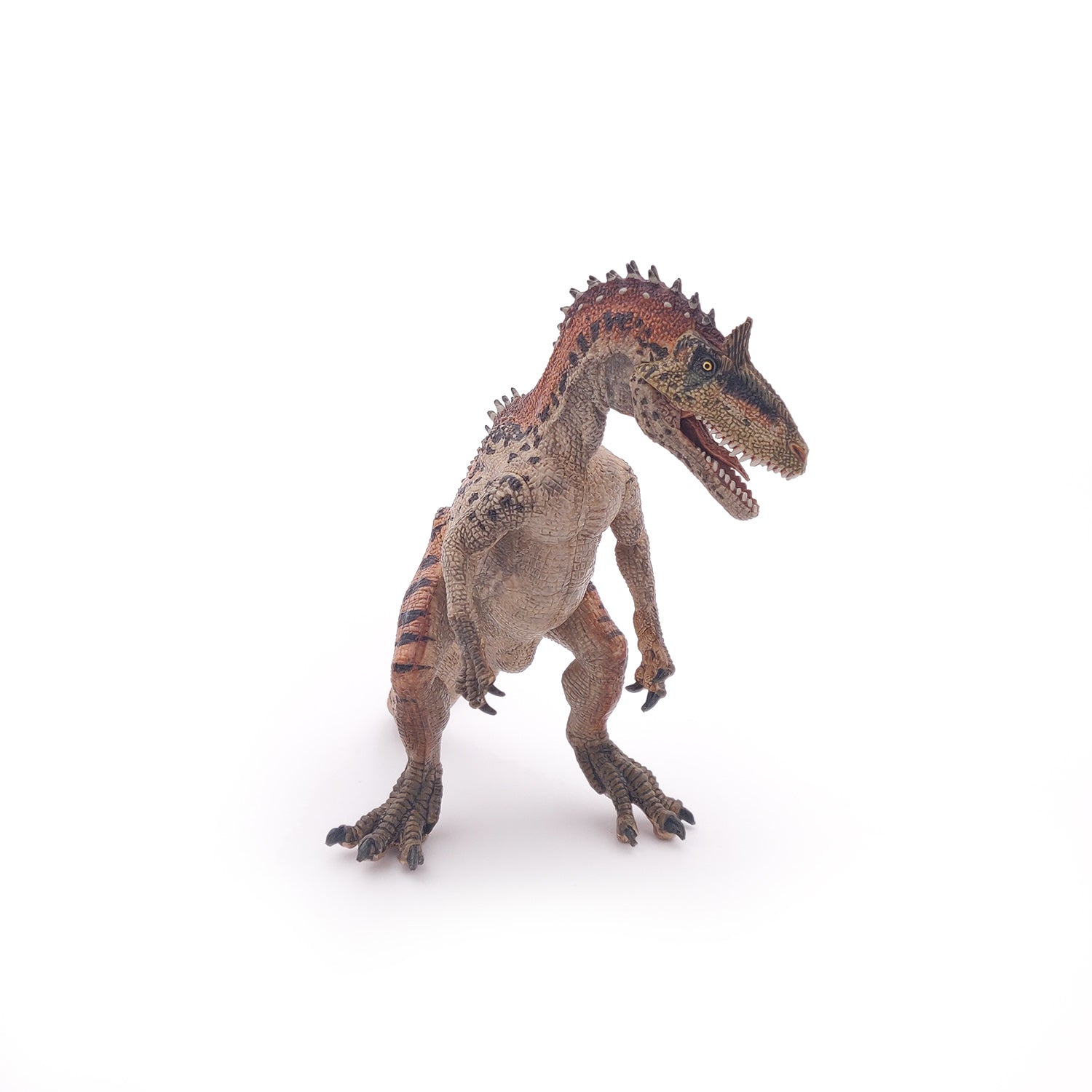 papo-dinosaurs-cryolophosaurus-figurine-dinosaure-cr-te image 2