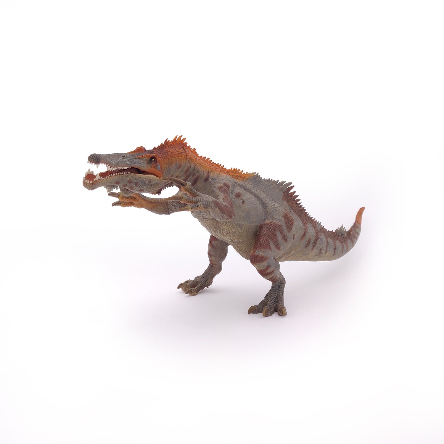 papo-dinosaurs-baryonyx-figurine-dinosaure-carnivore-cr-tac image 5