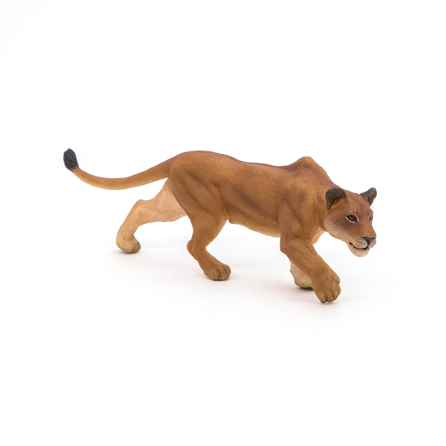 papo-wildlife-lionne-chassant-figurine-savane-fauve image 3
