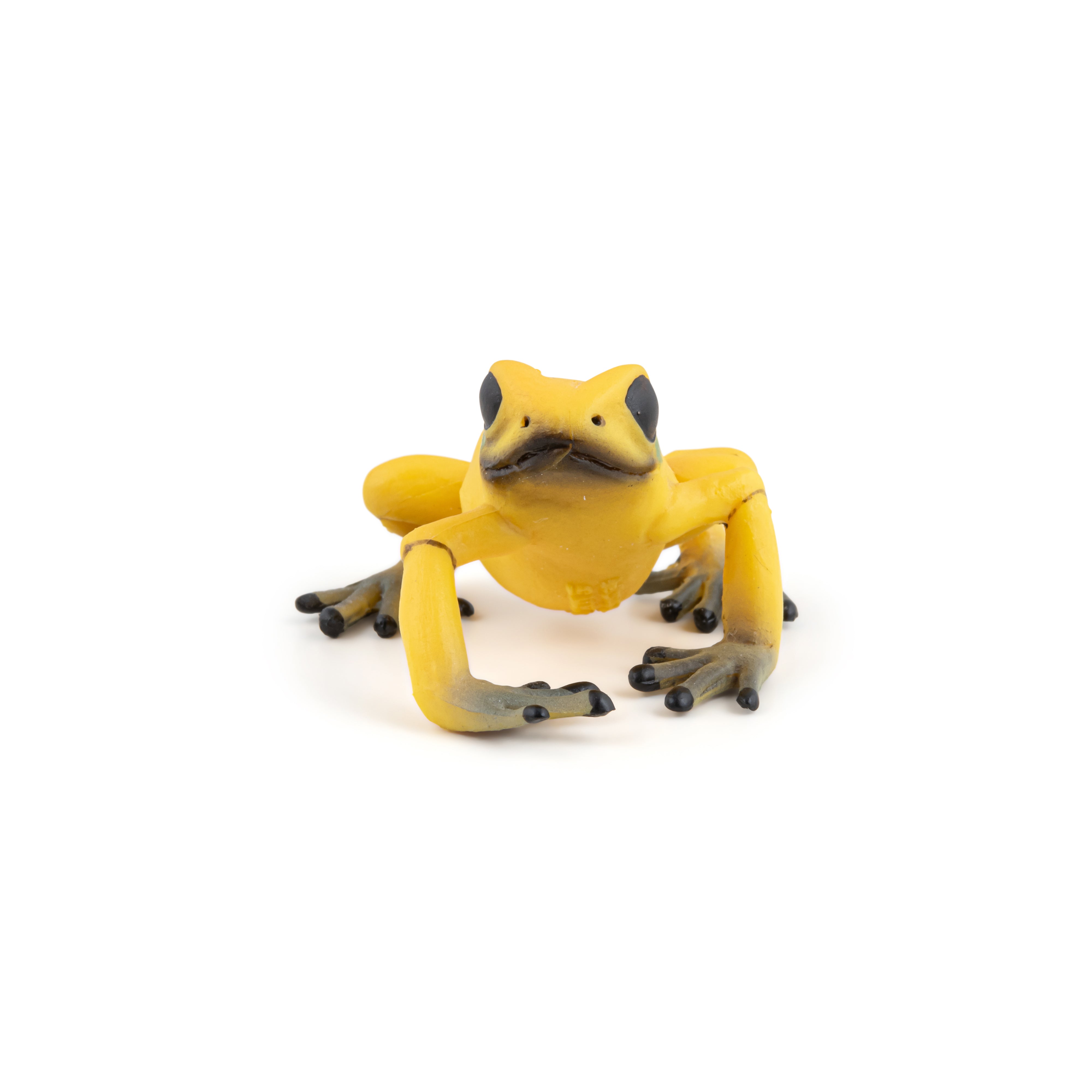 papo-wildlife-grenouille-quatoriale-jaune-figurine-amphibien image 3