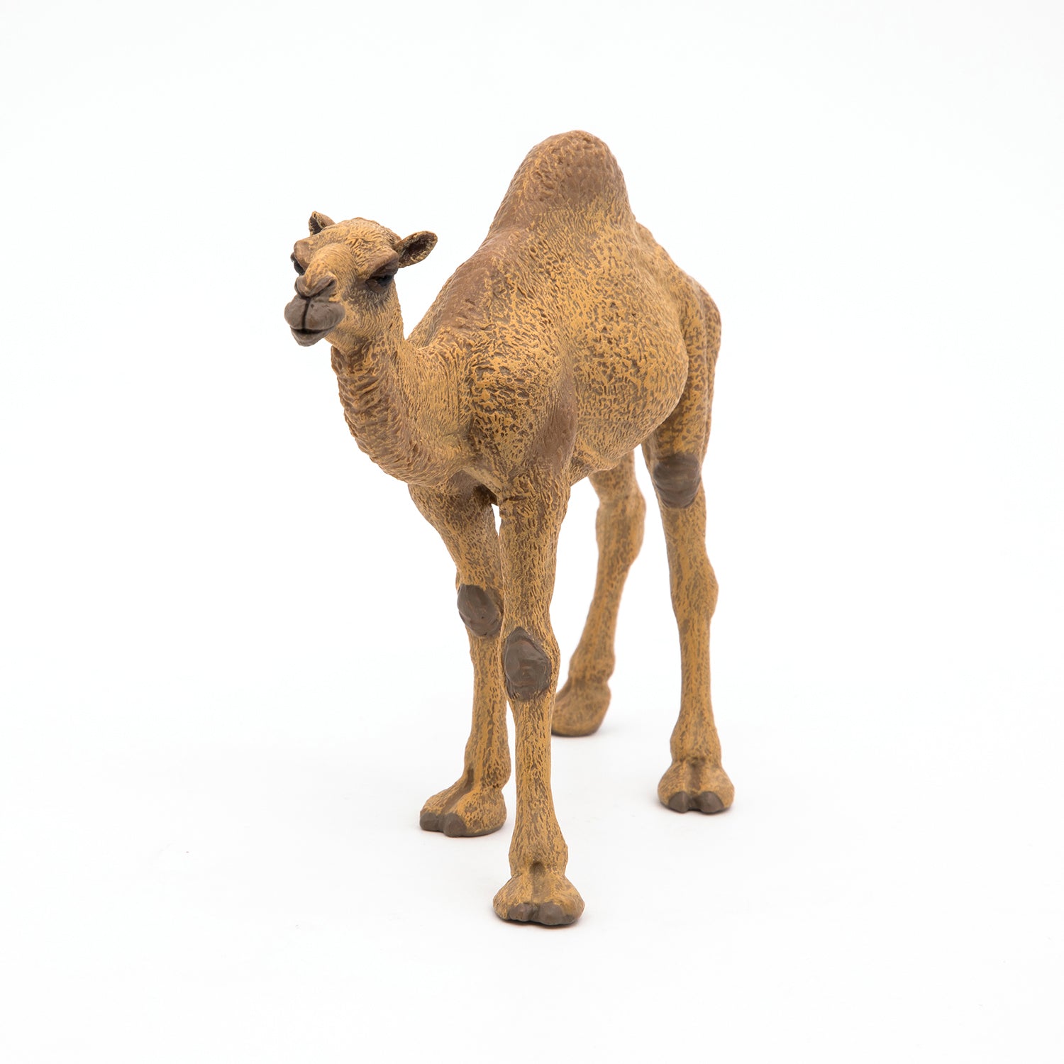 papo-wildlife-dromadaire-figurine-animal-d-sert image 2